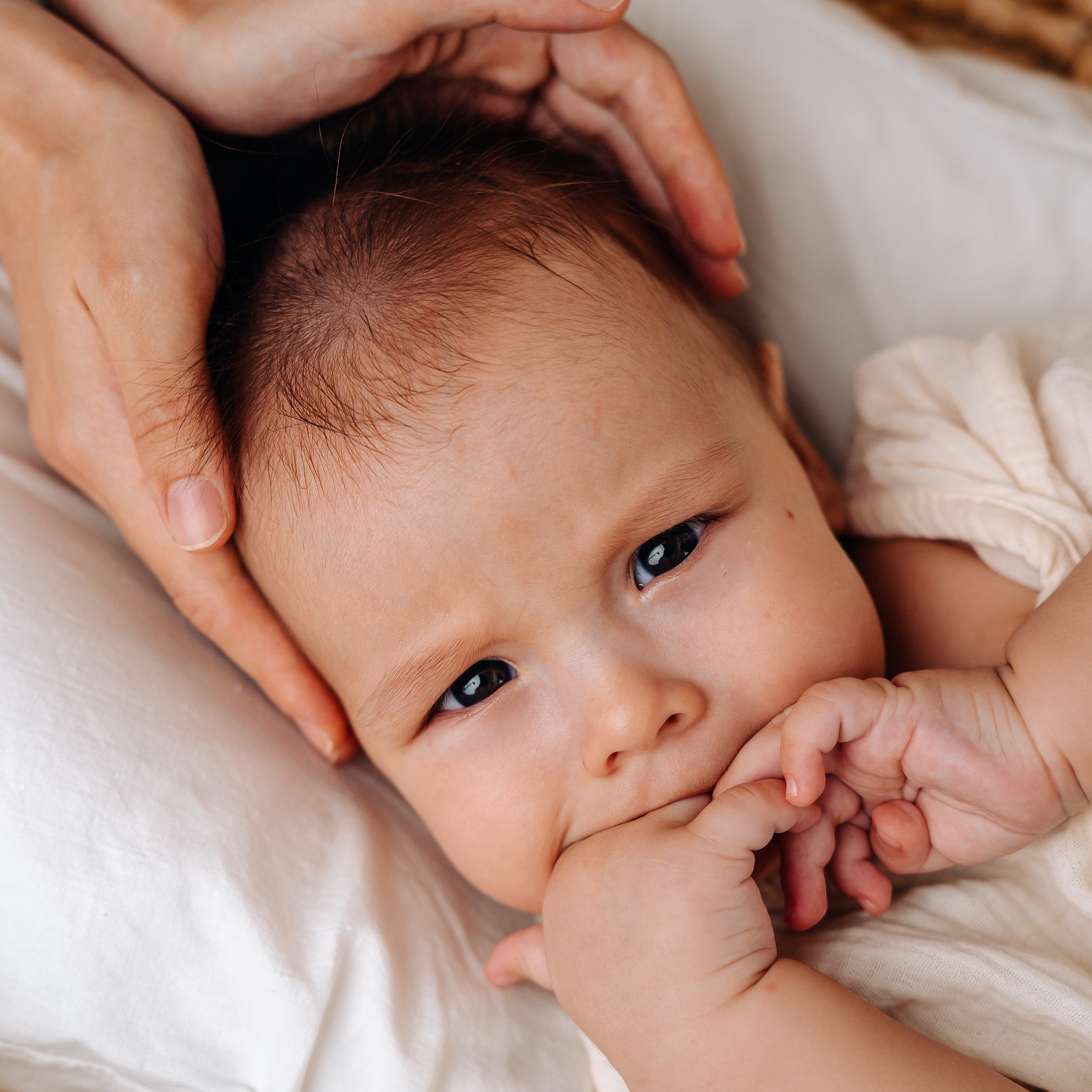 Лента фото. «Лама» Детская фотостудия Уфа