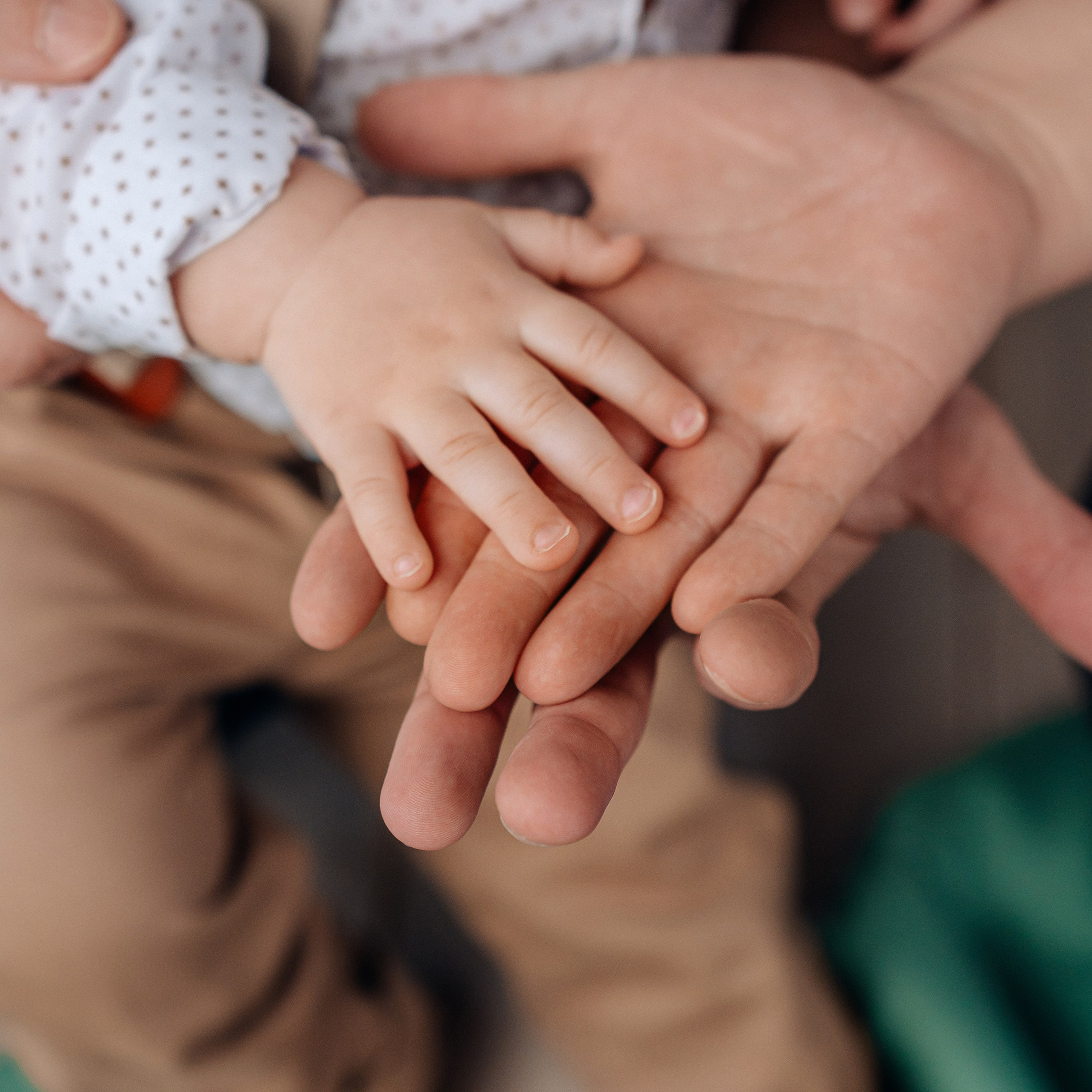 Лента фото. «Лама» Детская фотостудия Уфа