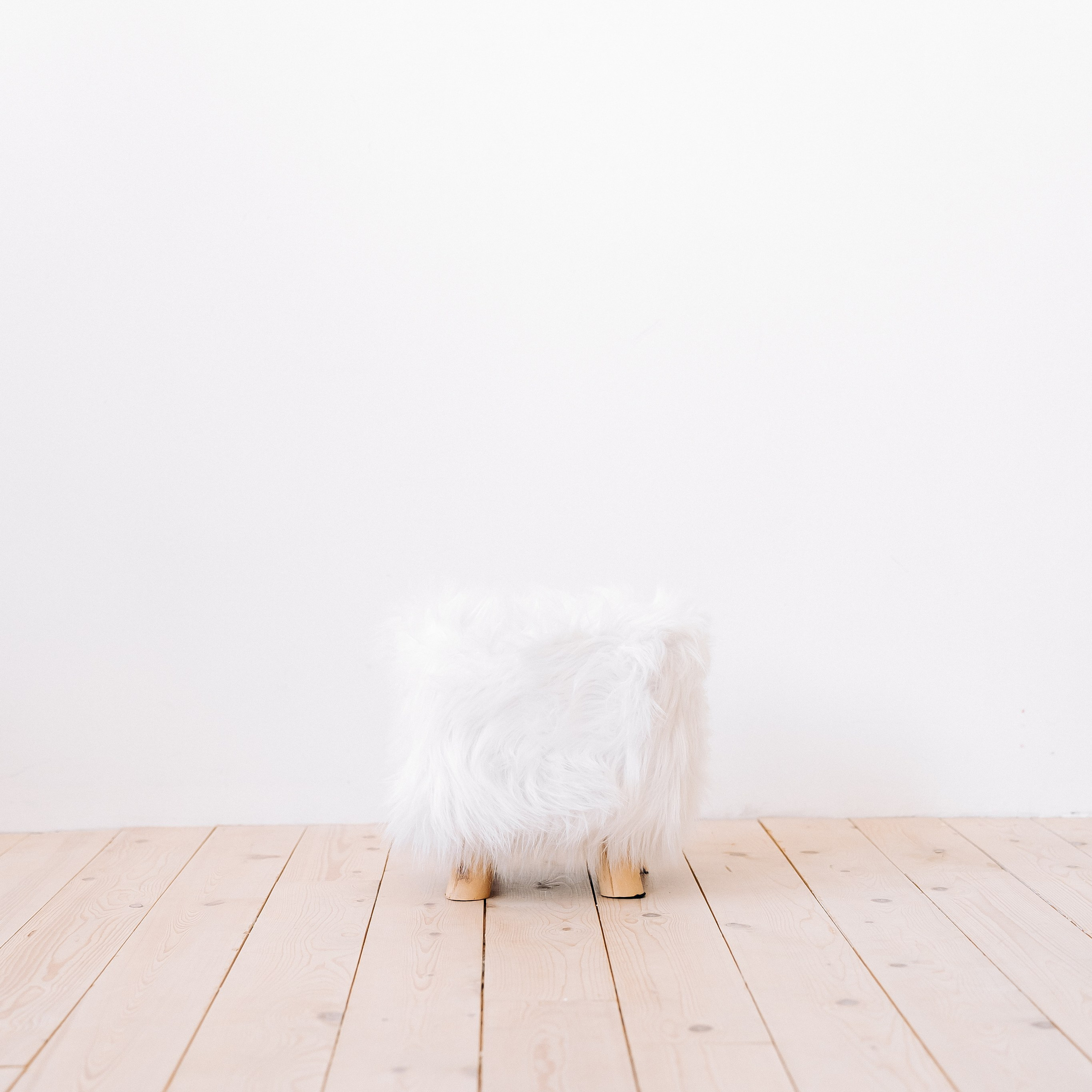 Обзор студии. «Лама» Детская фотостудия Уфа