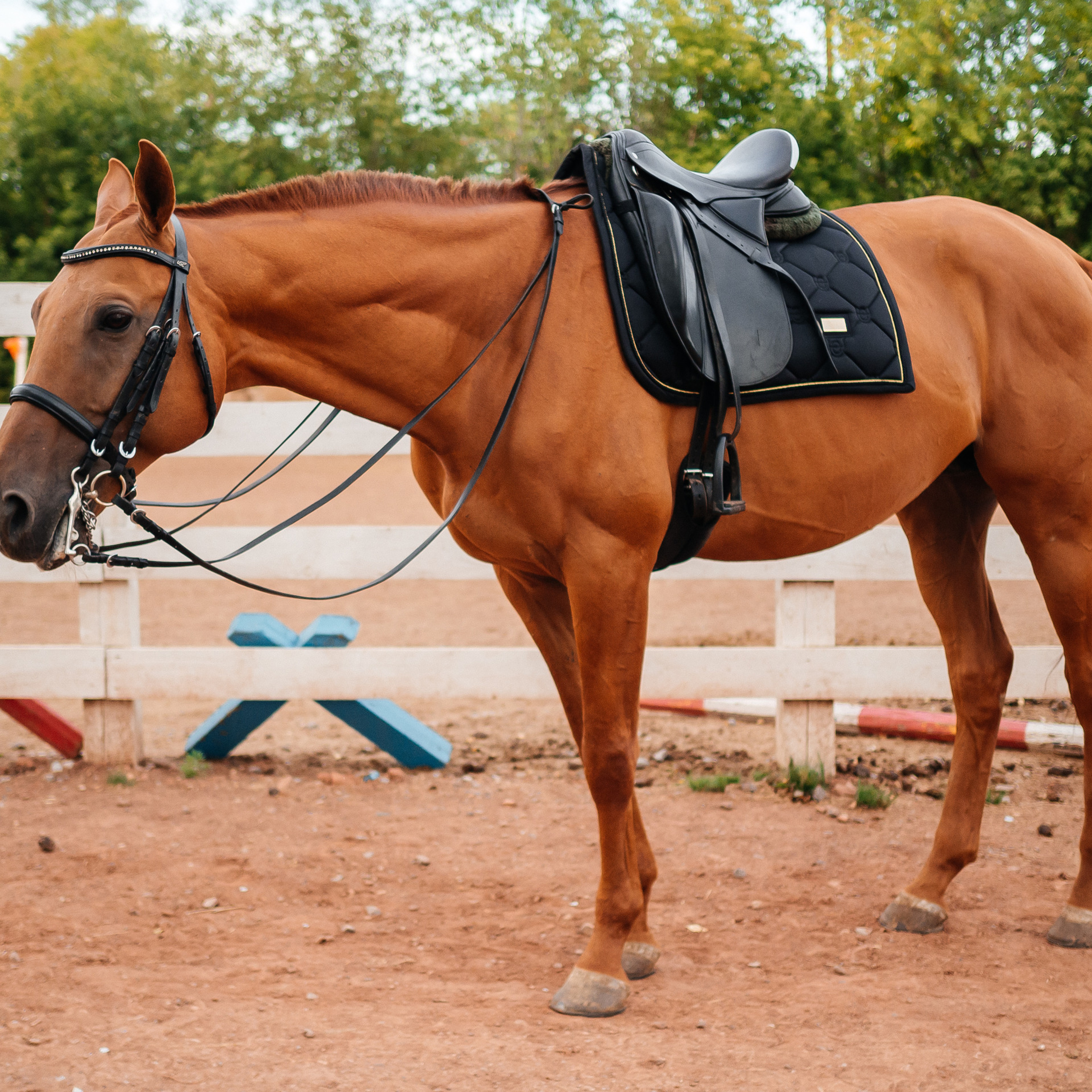 Отзывы. «Лама» Детская фотостудия Уфа