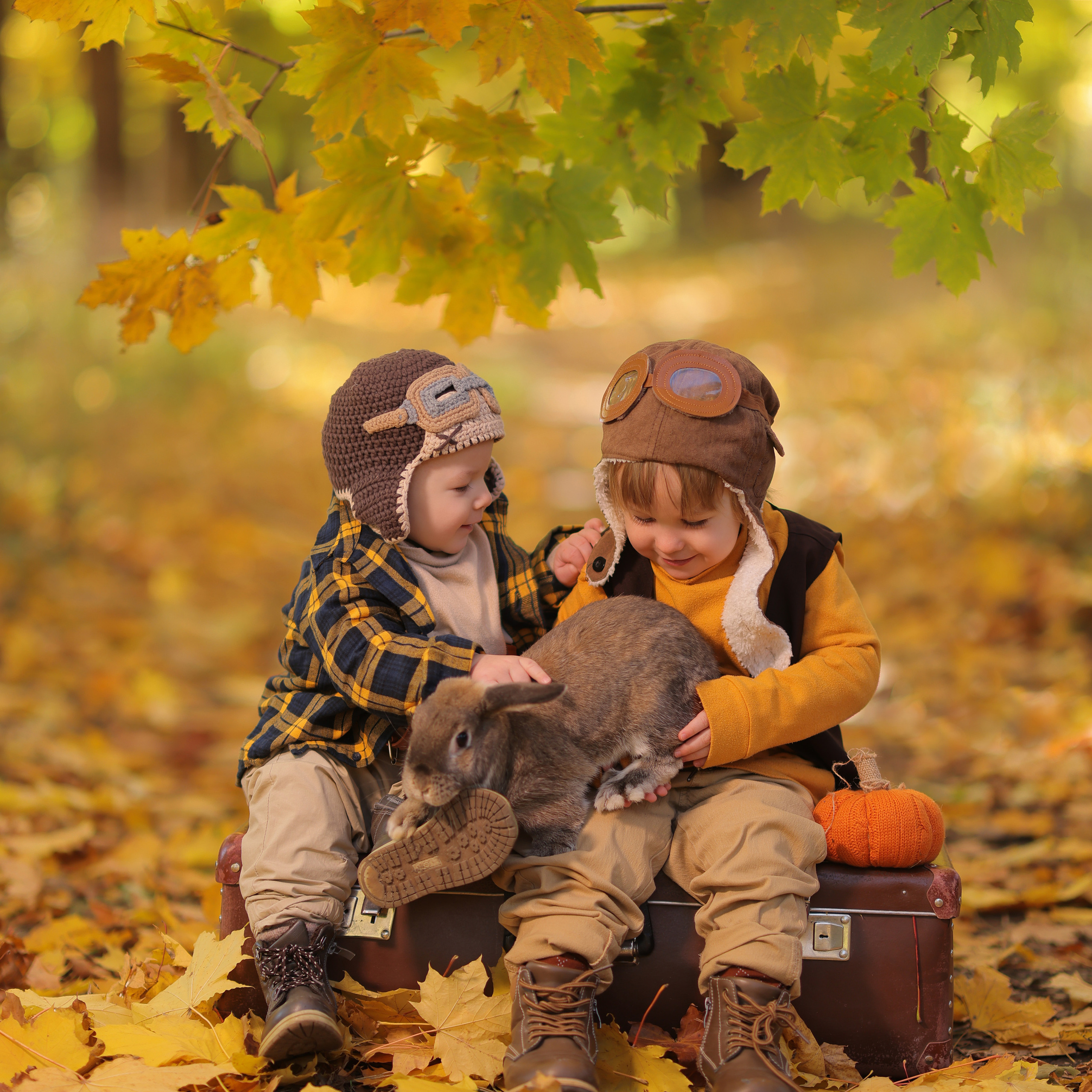 Отзывы. Главная