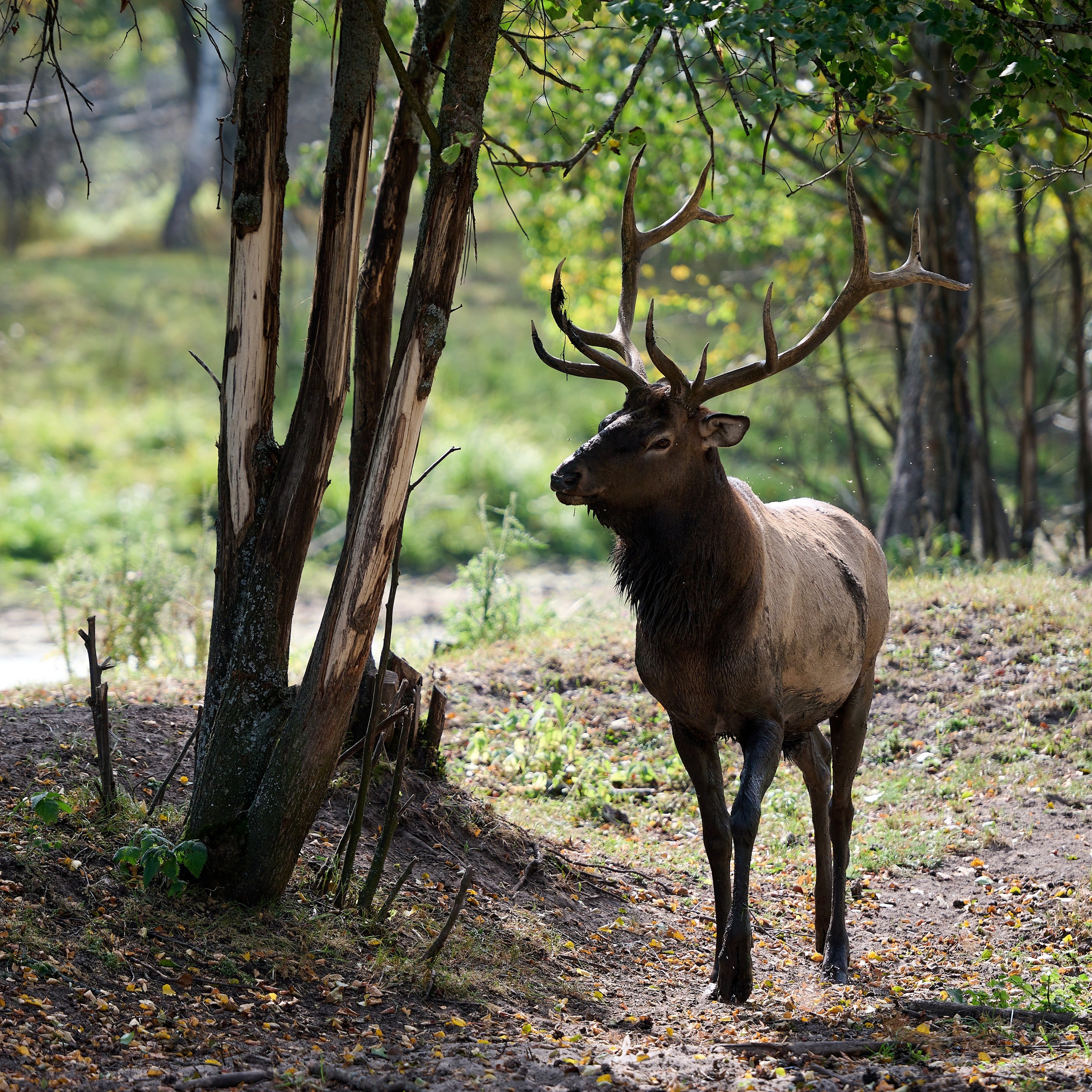 Отзывы. Фотосъемка мероприятий