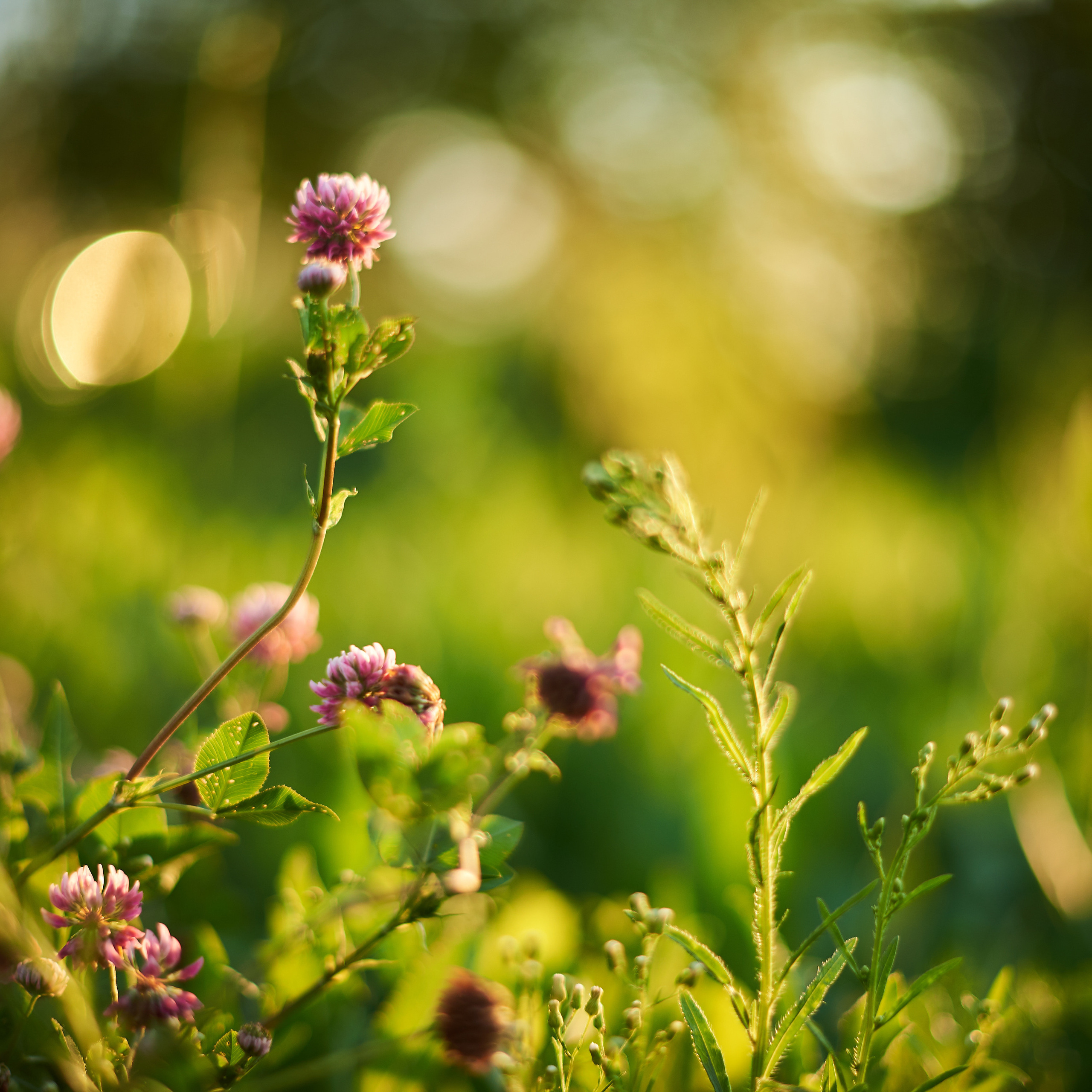 Отзывы. Фотосъемка мероприятий