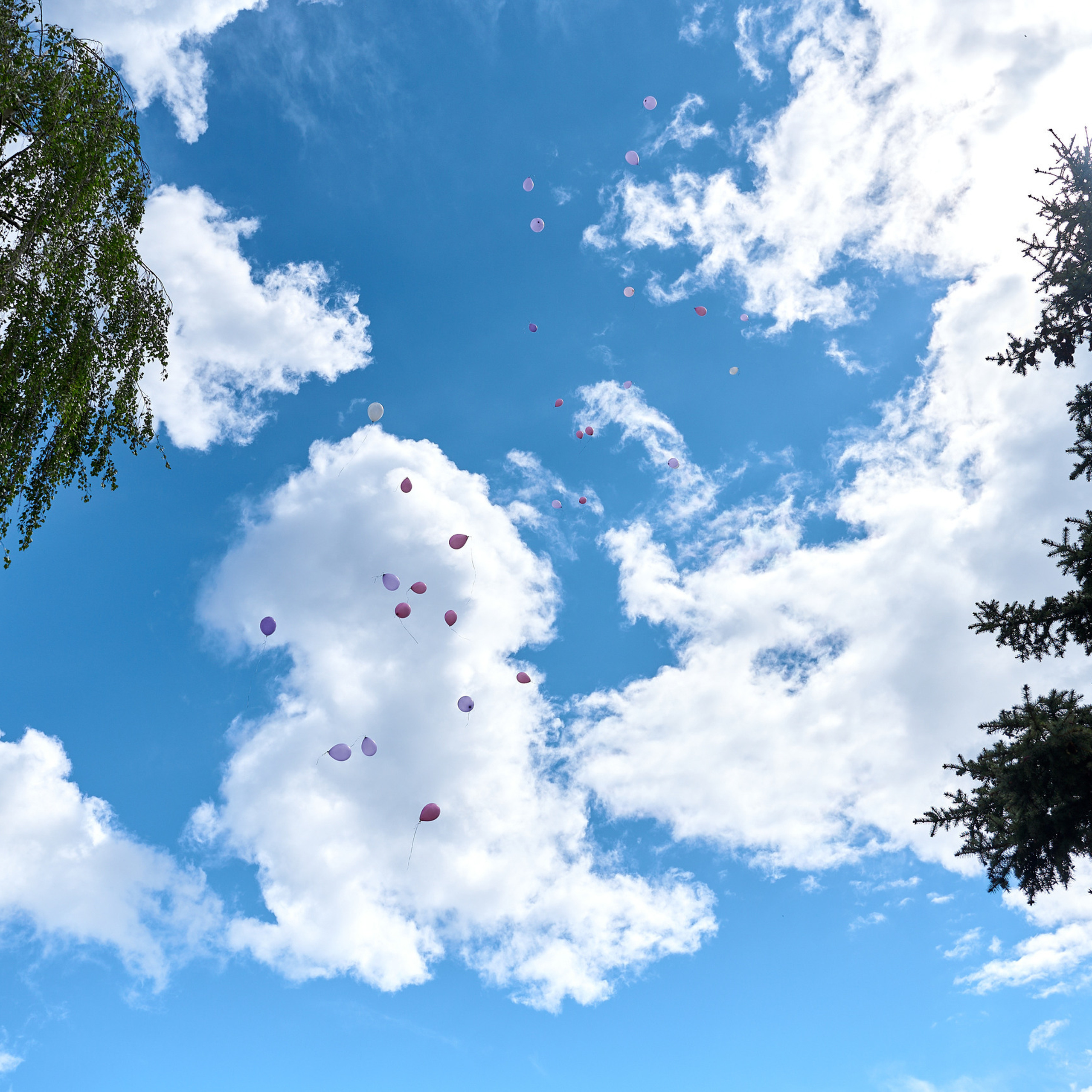 Отзывы. Фотосъемка мероприятий