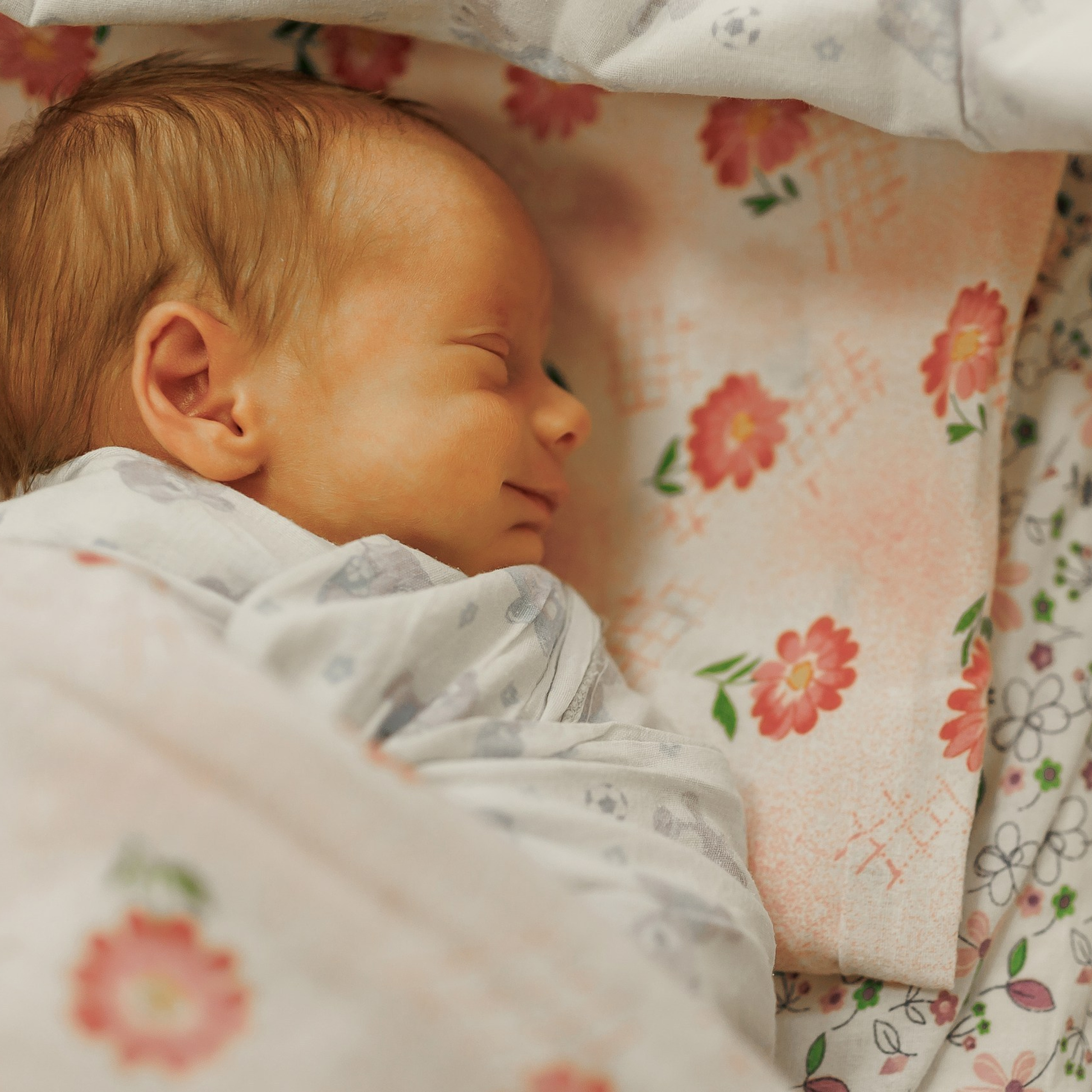 Отзывы. Ключников Виктор фотографирую душой!