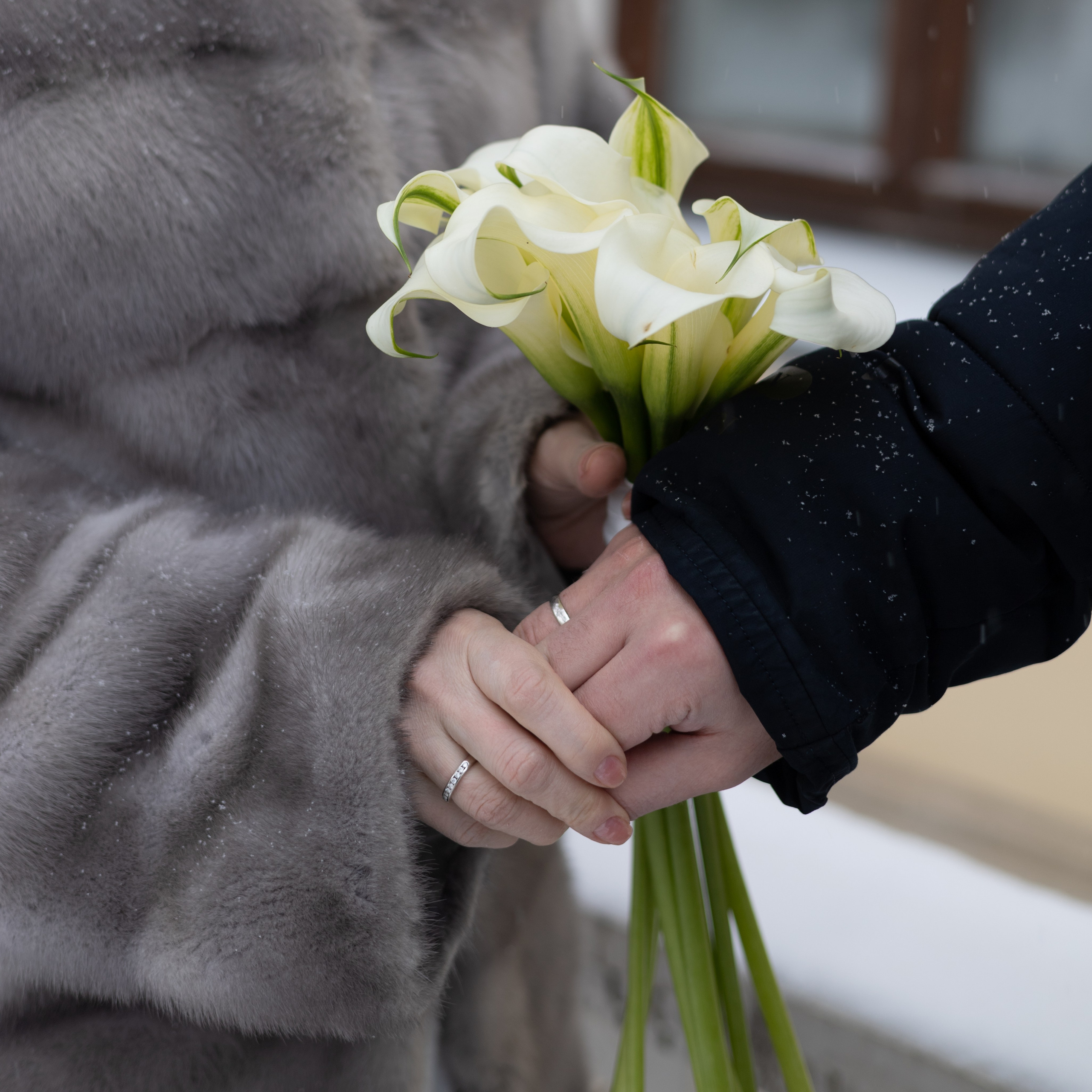 Леся & Алексей. Свадебный фотограф