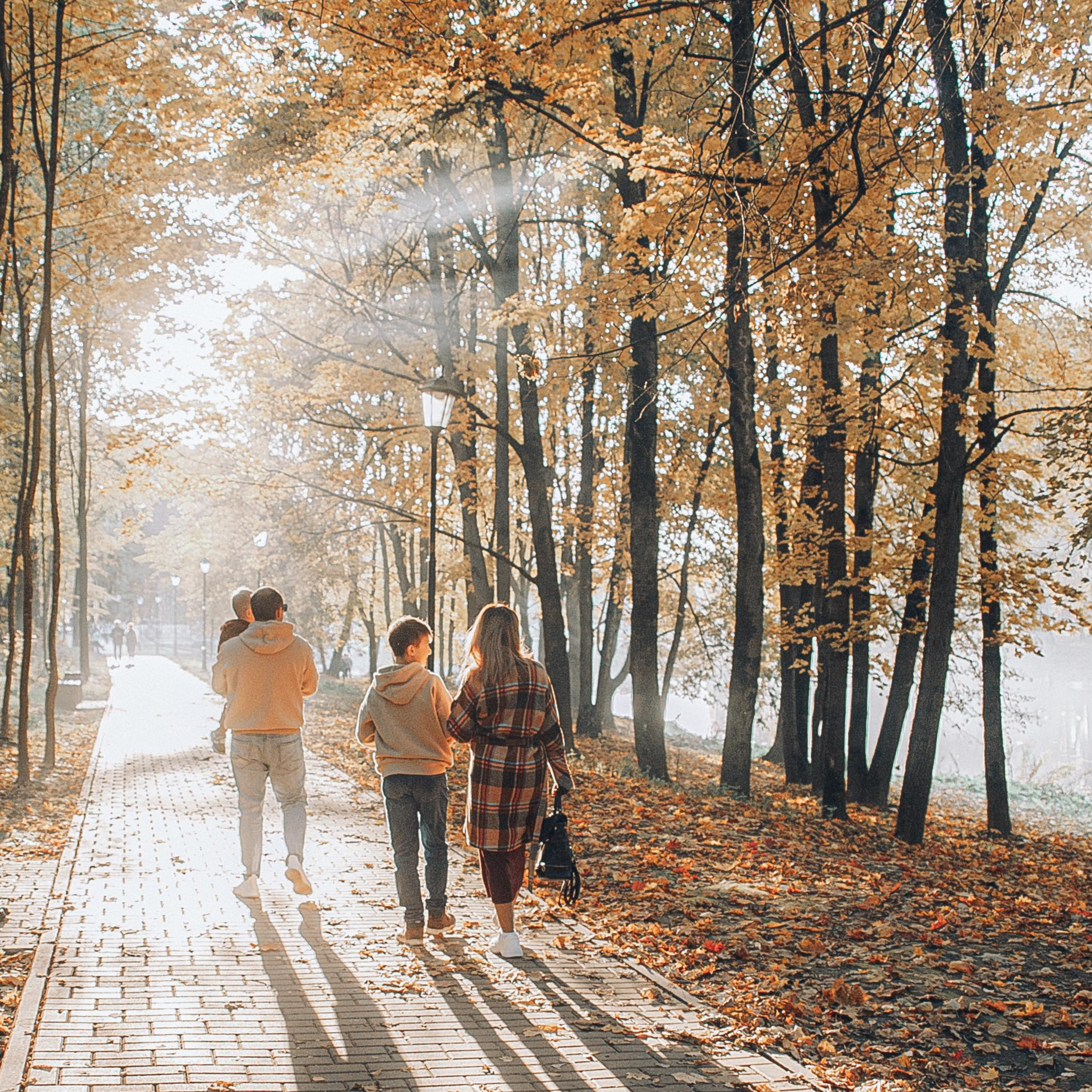 Семейная Осень