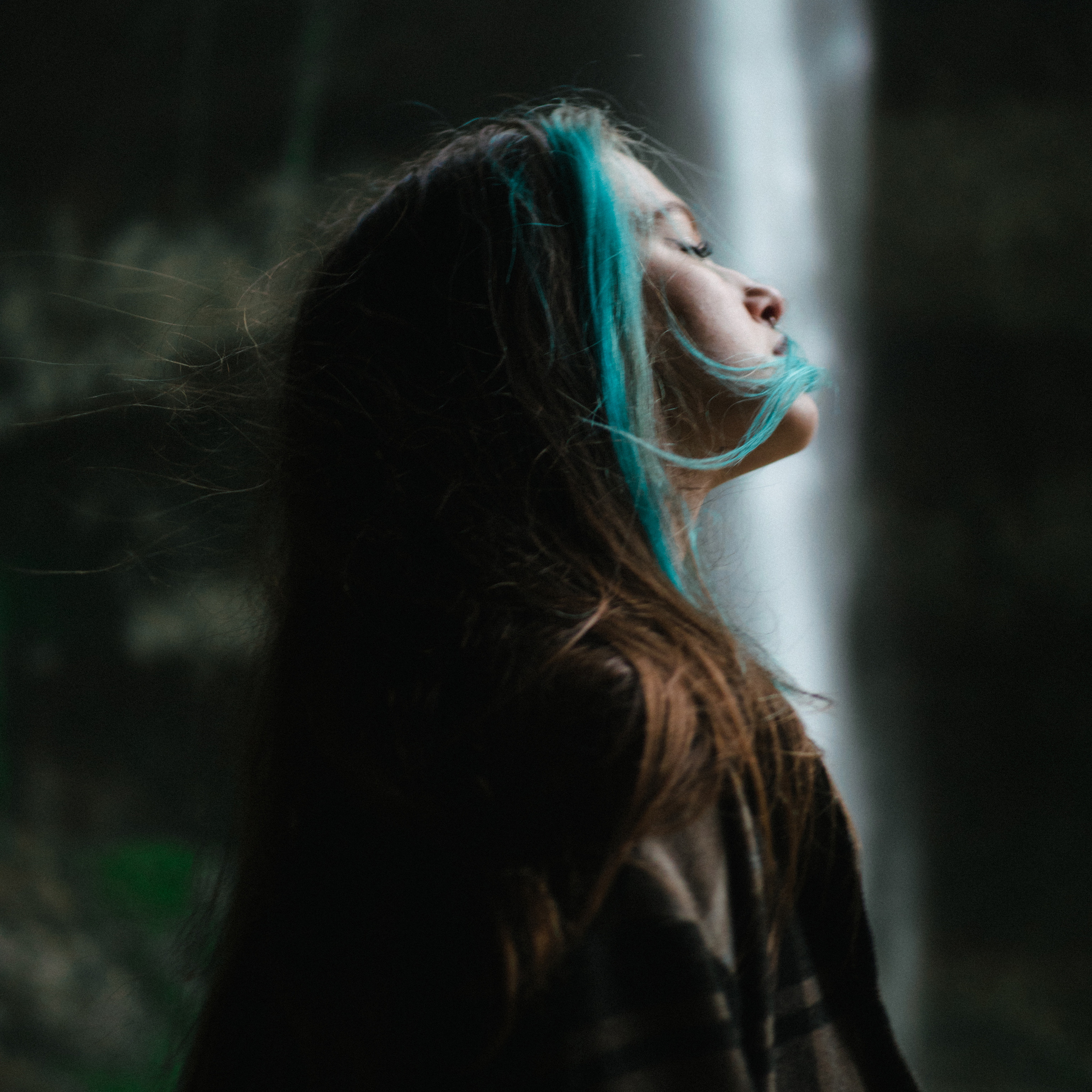 «Пасть дракона»