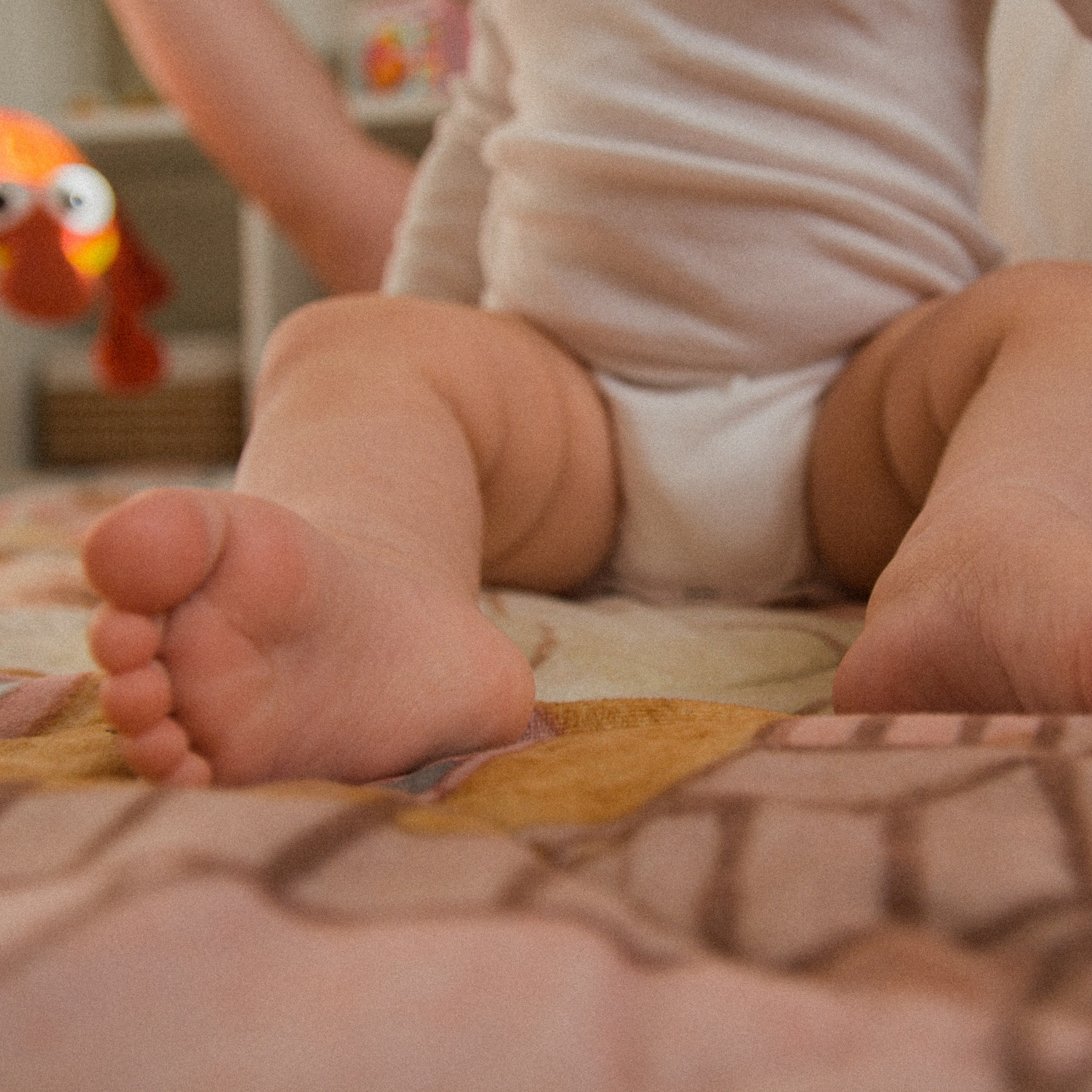 Солнечное счастье