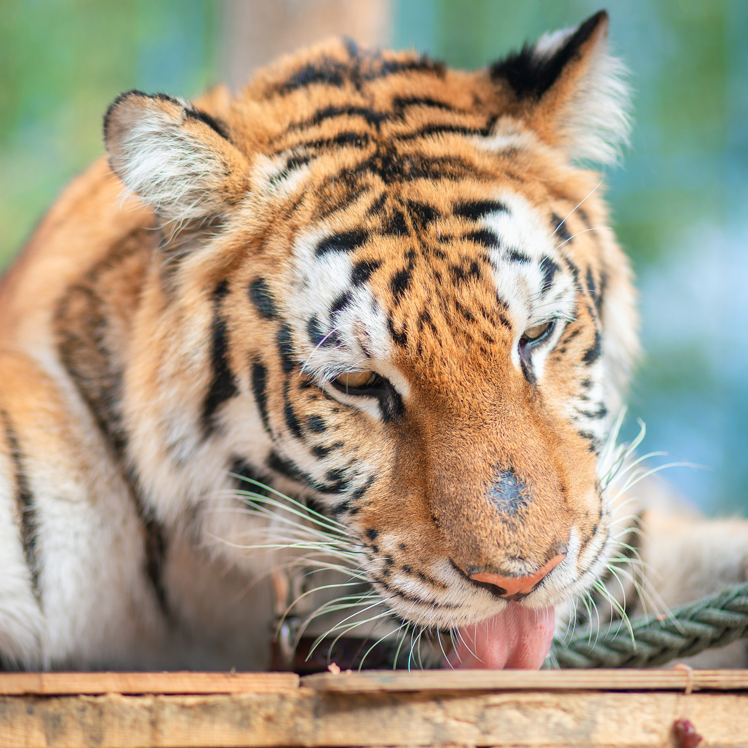 Ваши отзывы. Семейный, детский, свадебный фотограф в Волгограде Кузнецова Екатерина