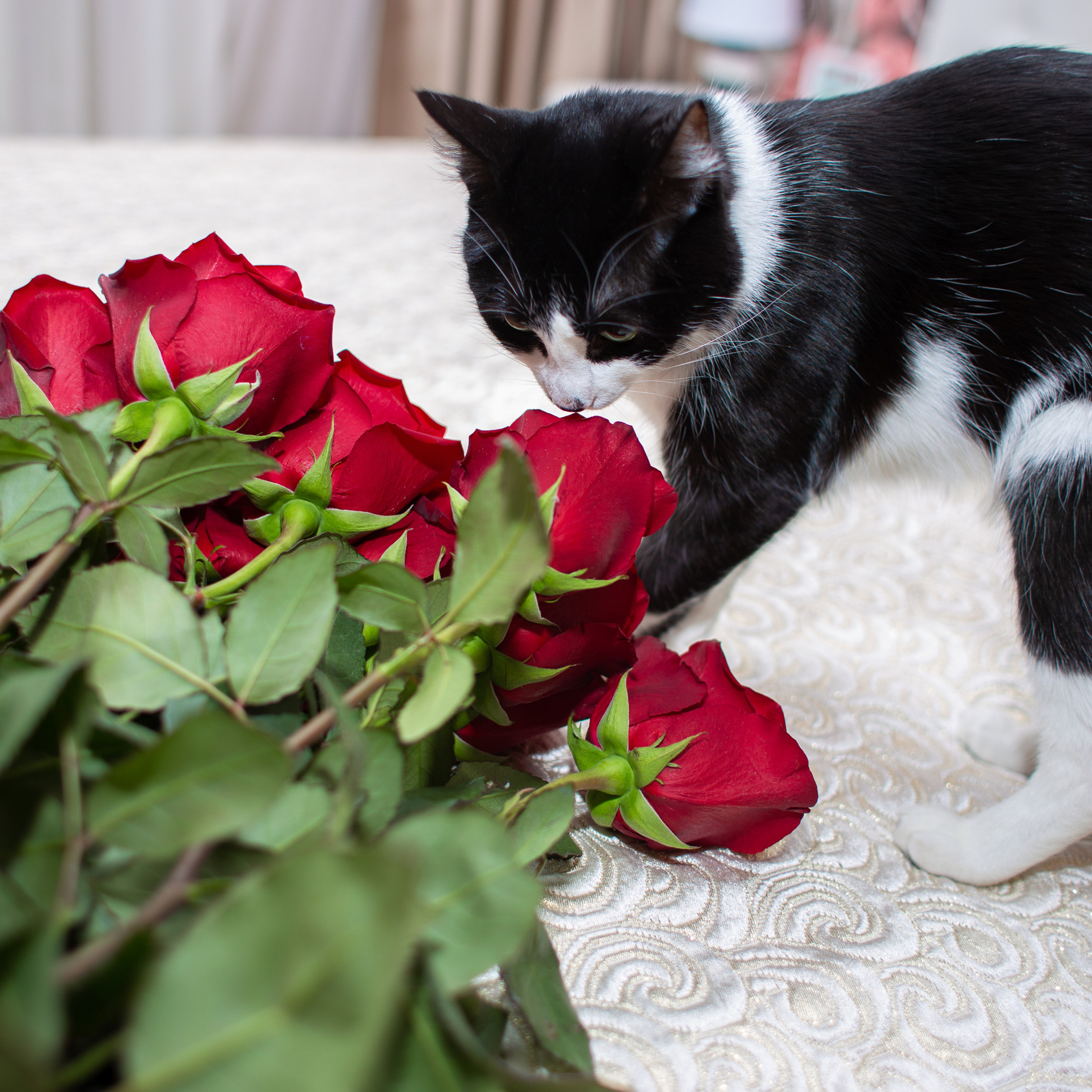 Ваши отзывы. Семейный, детский, свадебный фотограф в Волгограде Кузнецова Екатерина