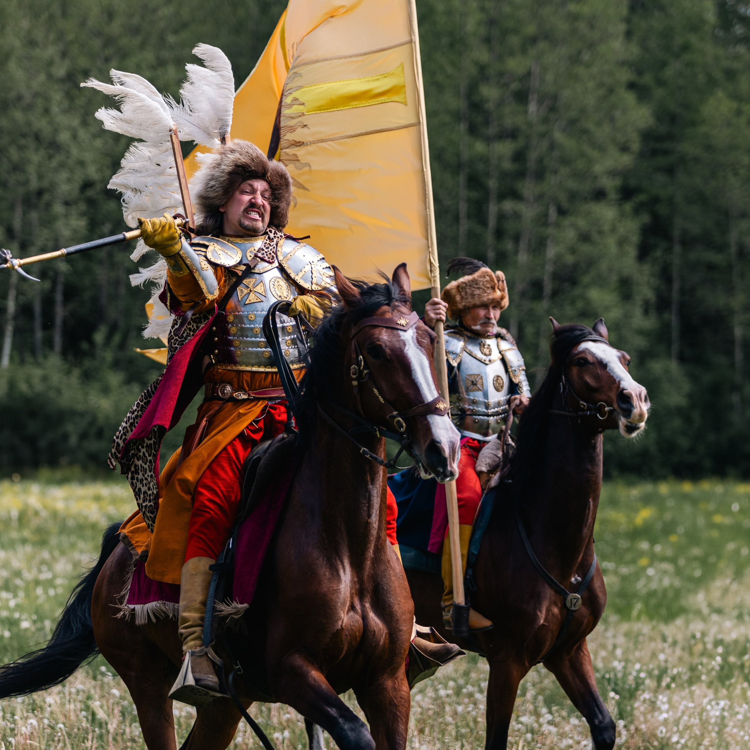 Золотая шпора. Маневры 17 века