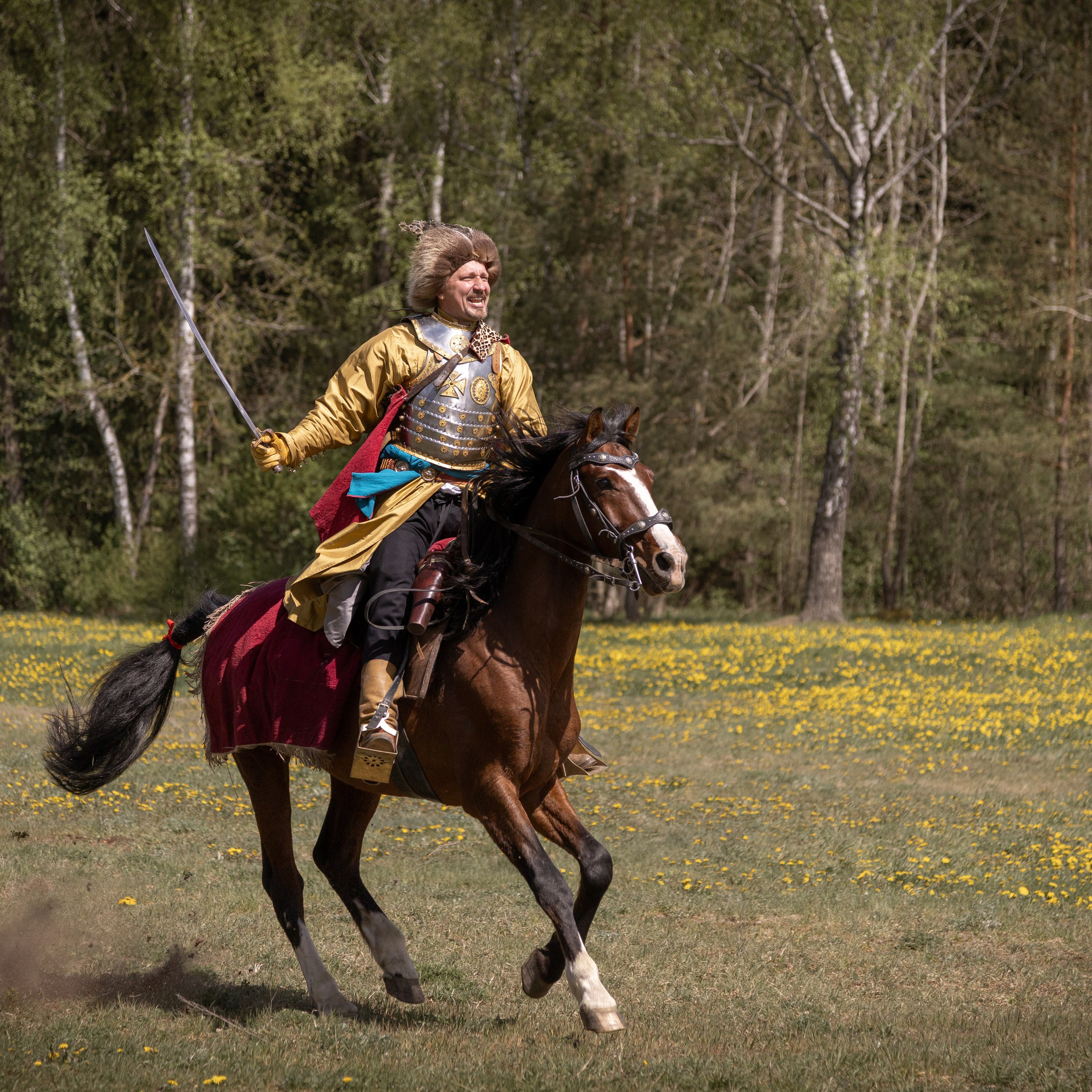 Золотая шпора. Огнем и мечем. День второй. Вылазка в лес. Штурм фортеции. Княжеский пир.