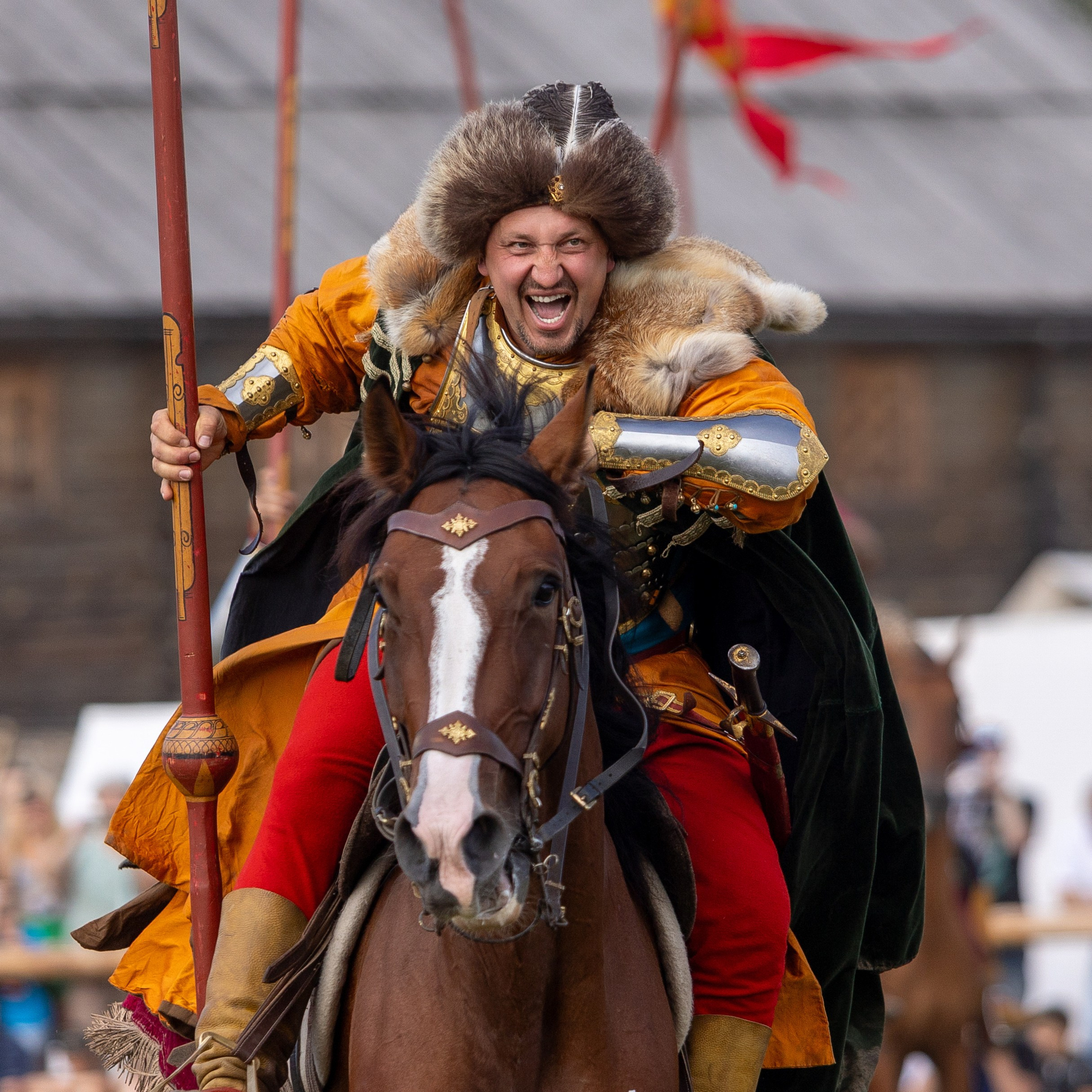 Рыцарский фест 2024. Мстиславль