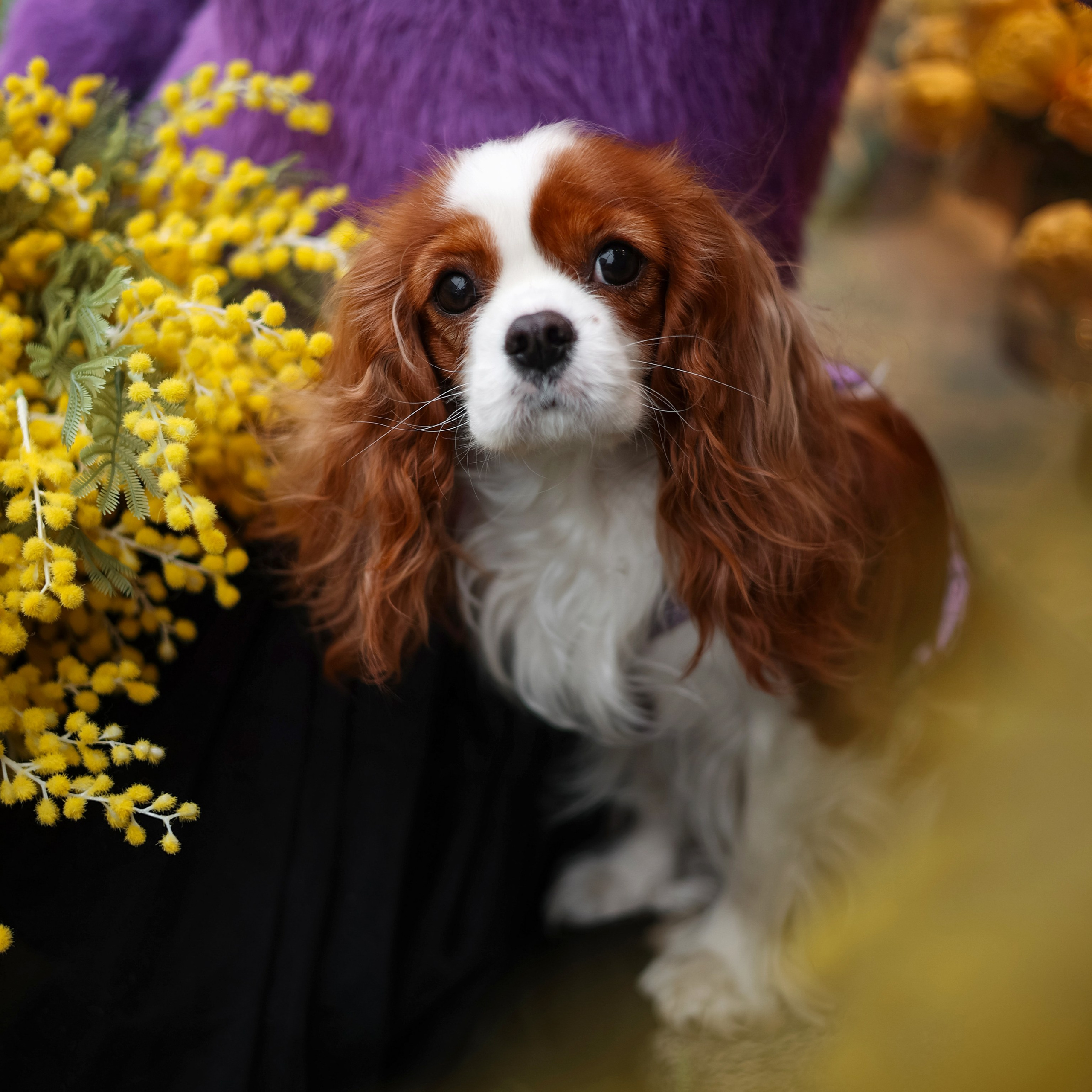 Индивидуальные улица. Фотограф Санкт-Петербург