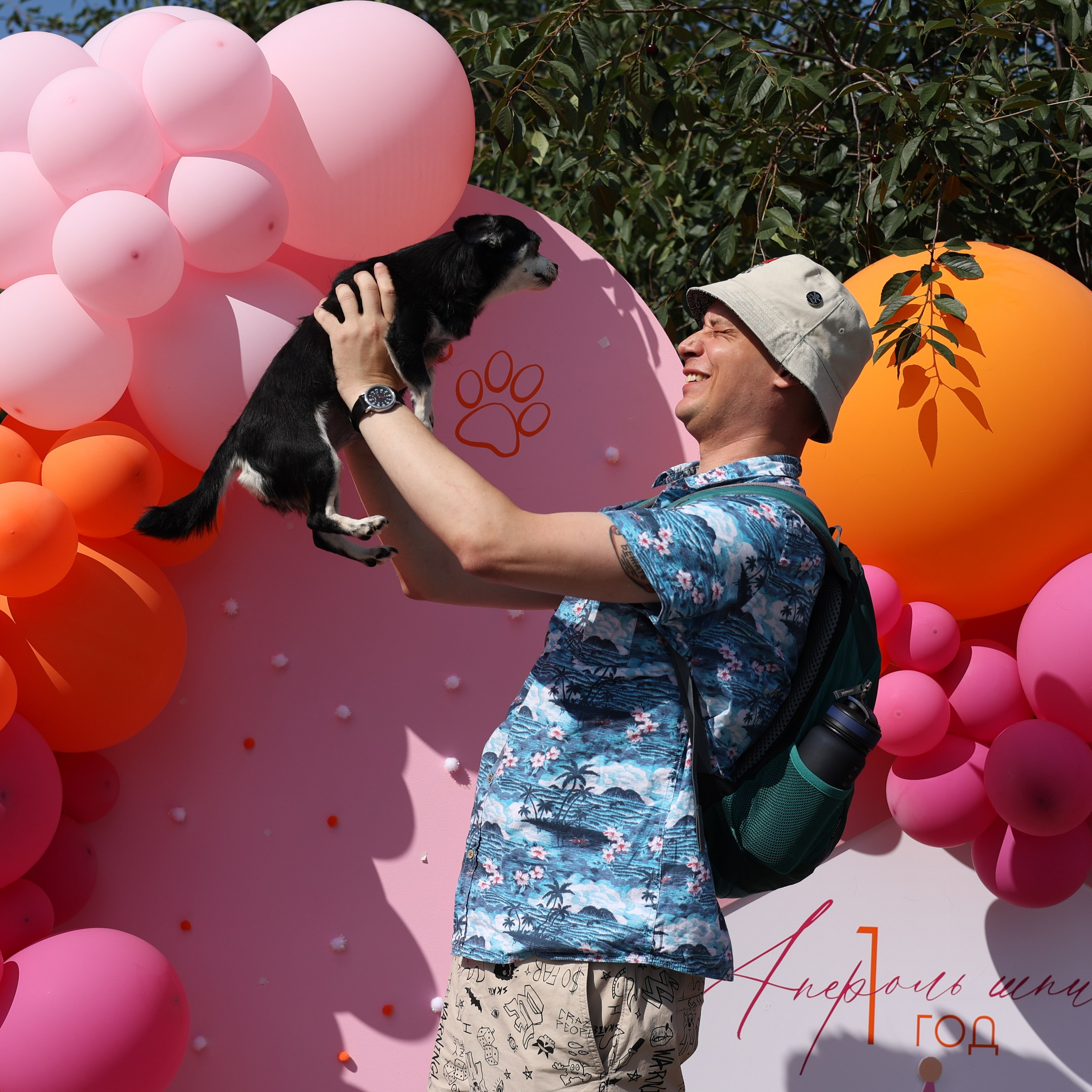 Апероль 1 годик. Фотограф Санкт-Петербург