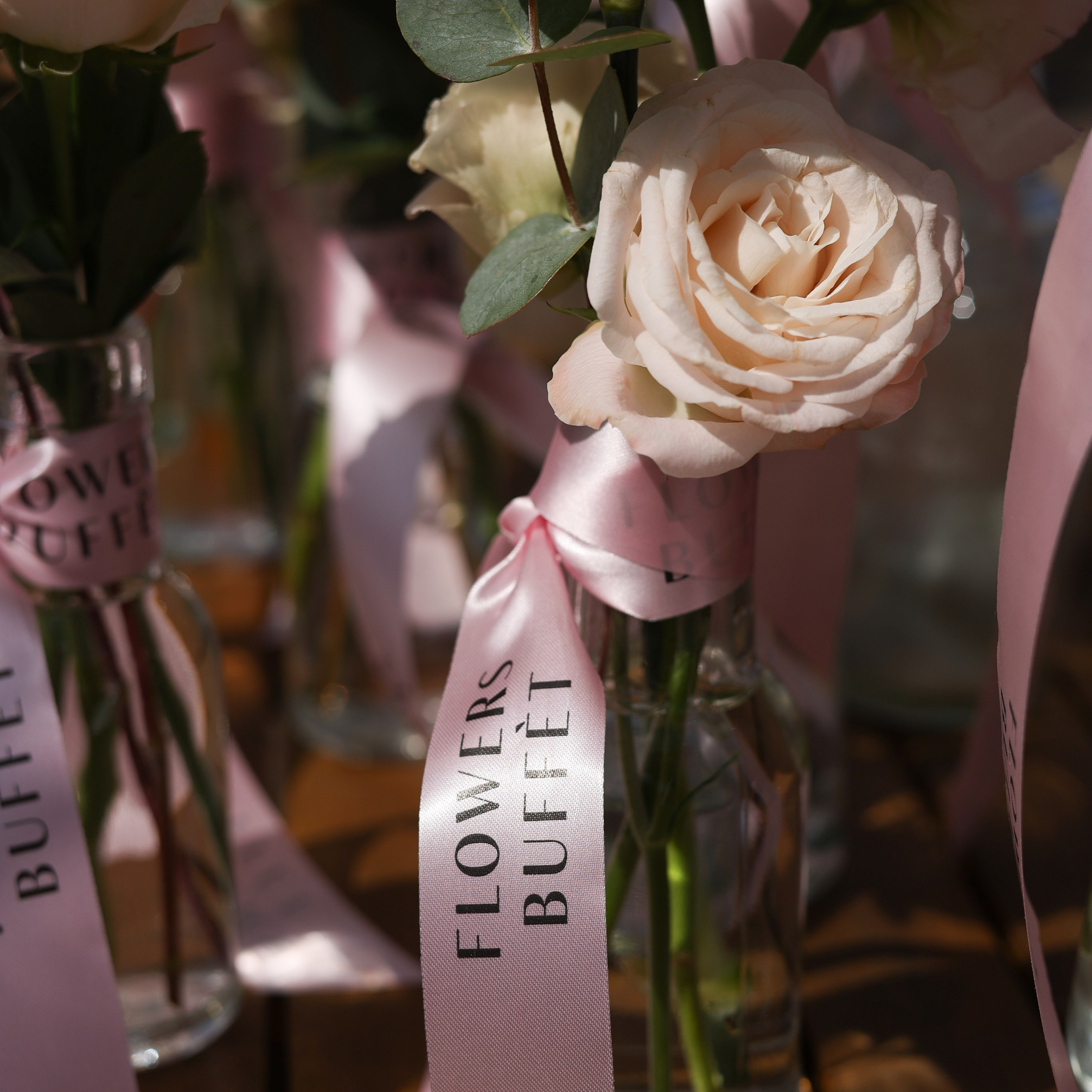 Апероль 1 годик. Фотограф Санкт-Петербург