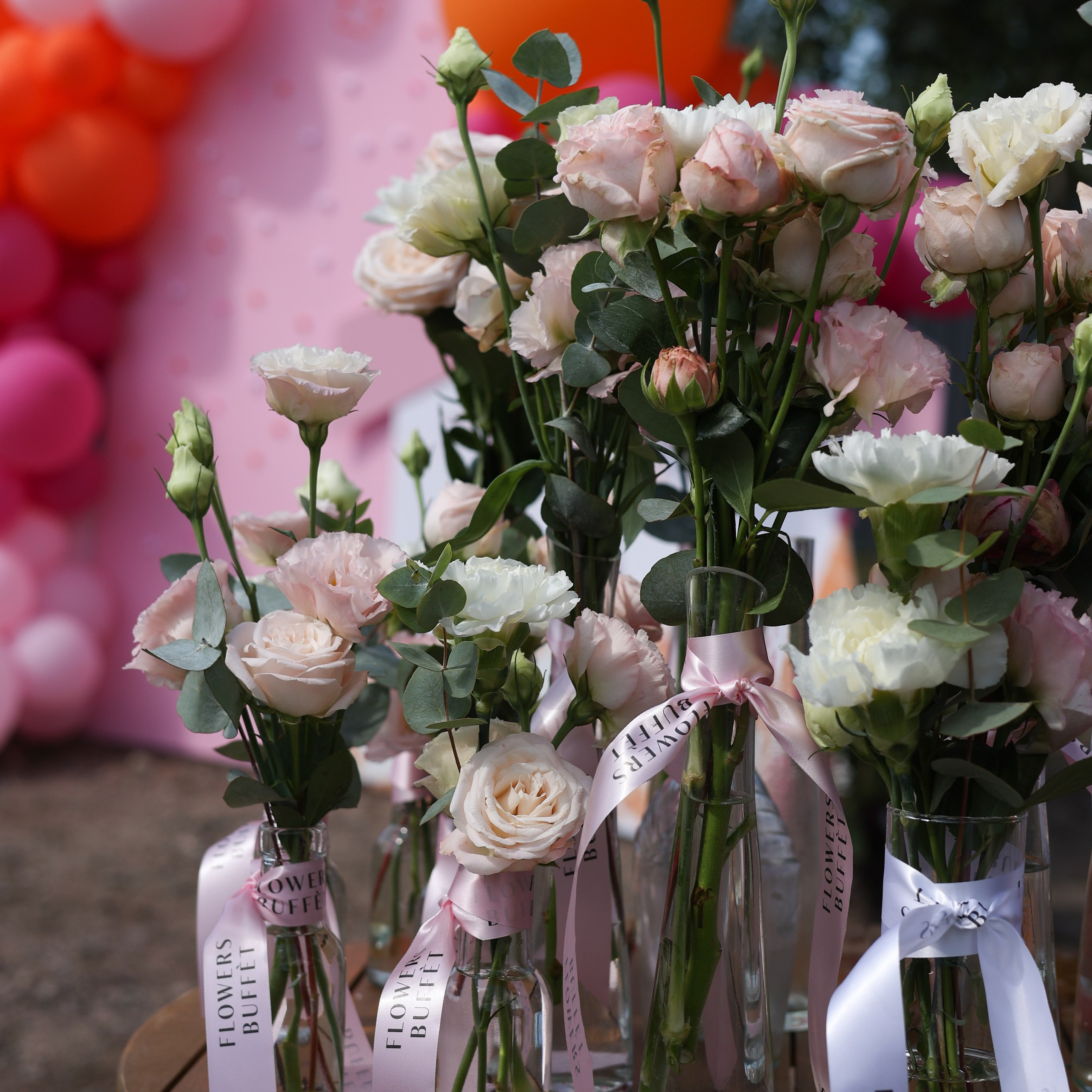 Апероль 1 годик. Фотограф Санкт-Петербург