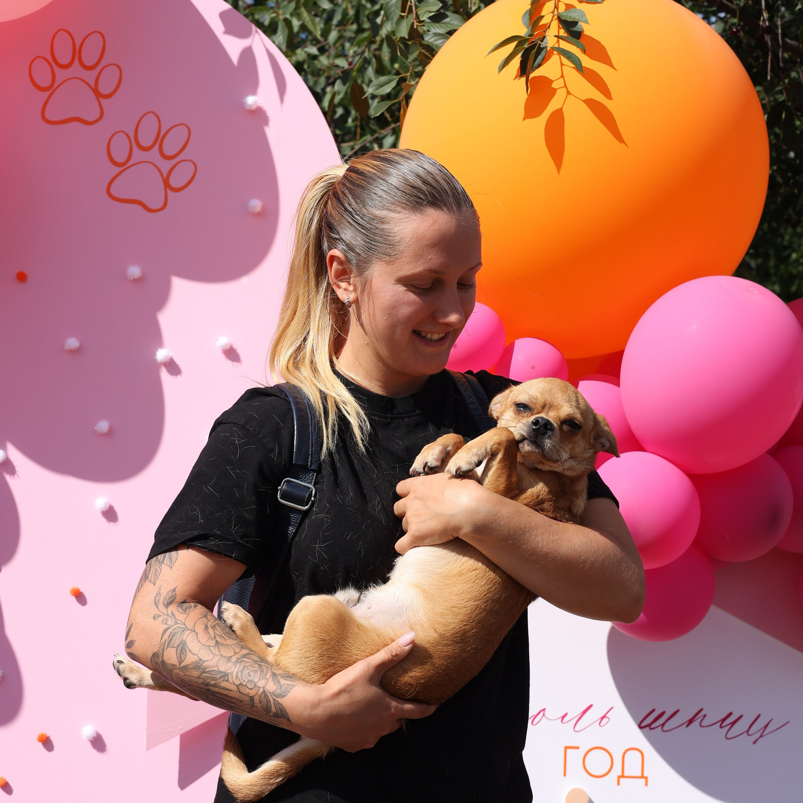 Апероль 1 годик. Фотограф Санкт-Петербург