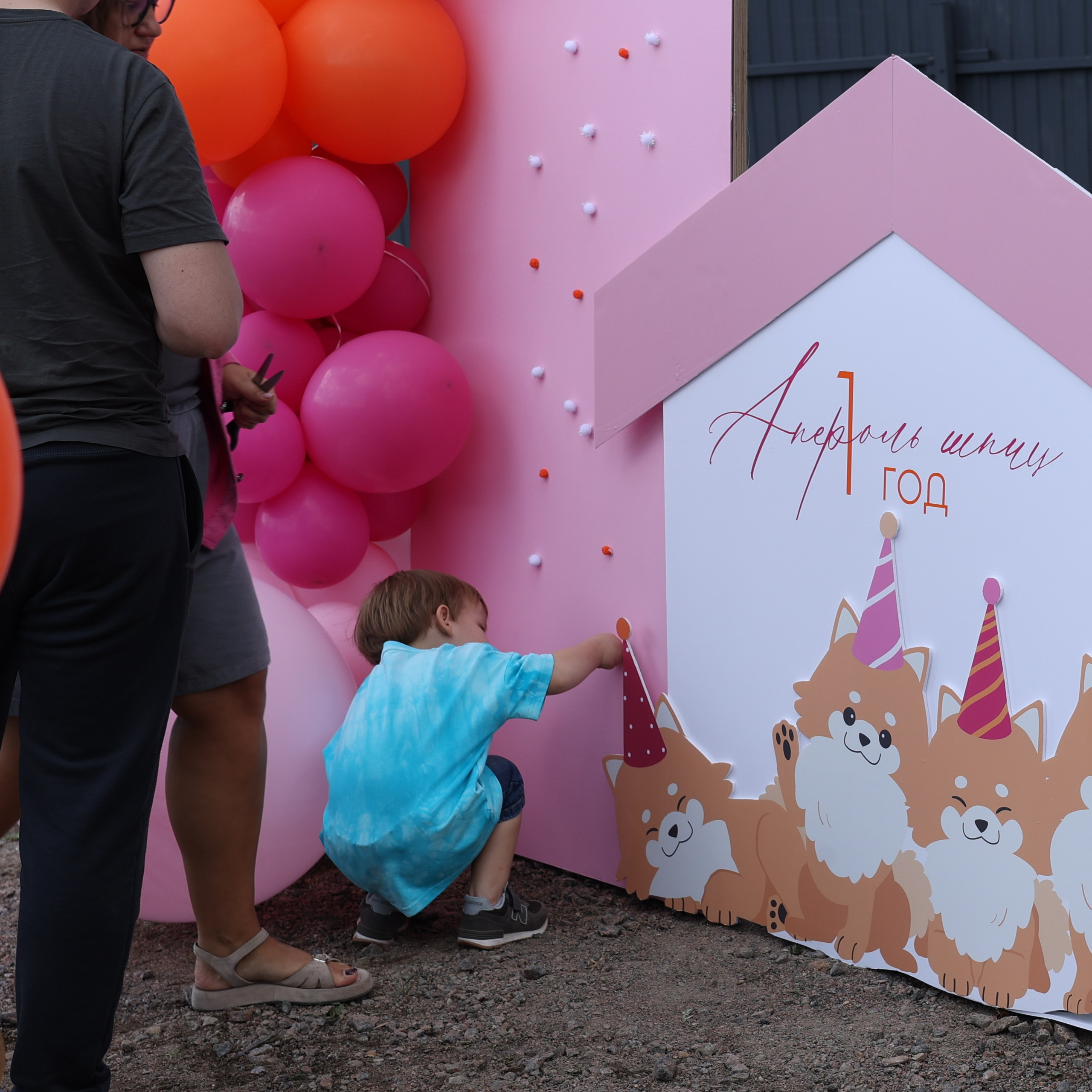 Апероль 1 годик. Фотограф Санкт-Петербург
