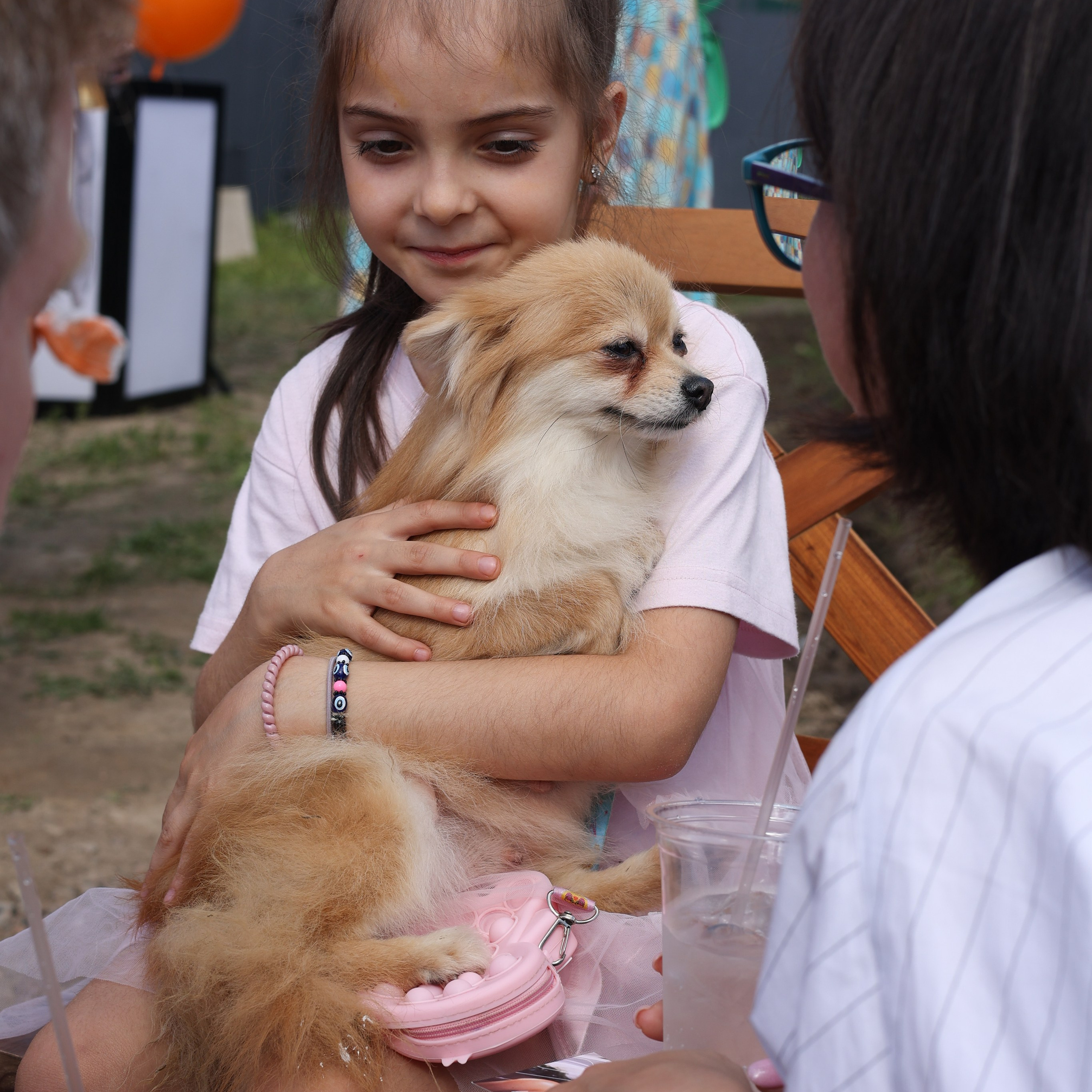Апероль 1 годик. Фотограф Санкт-Петербург