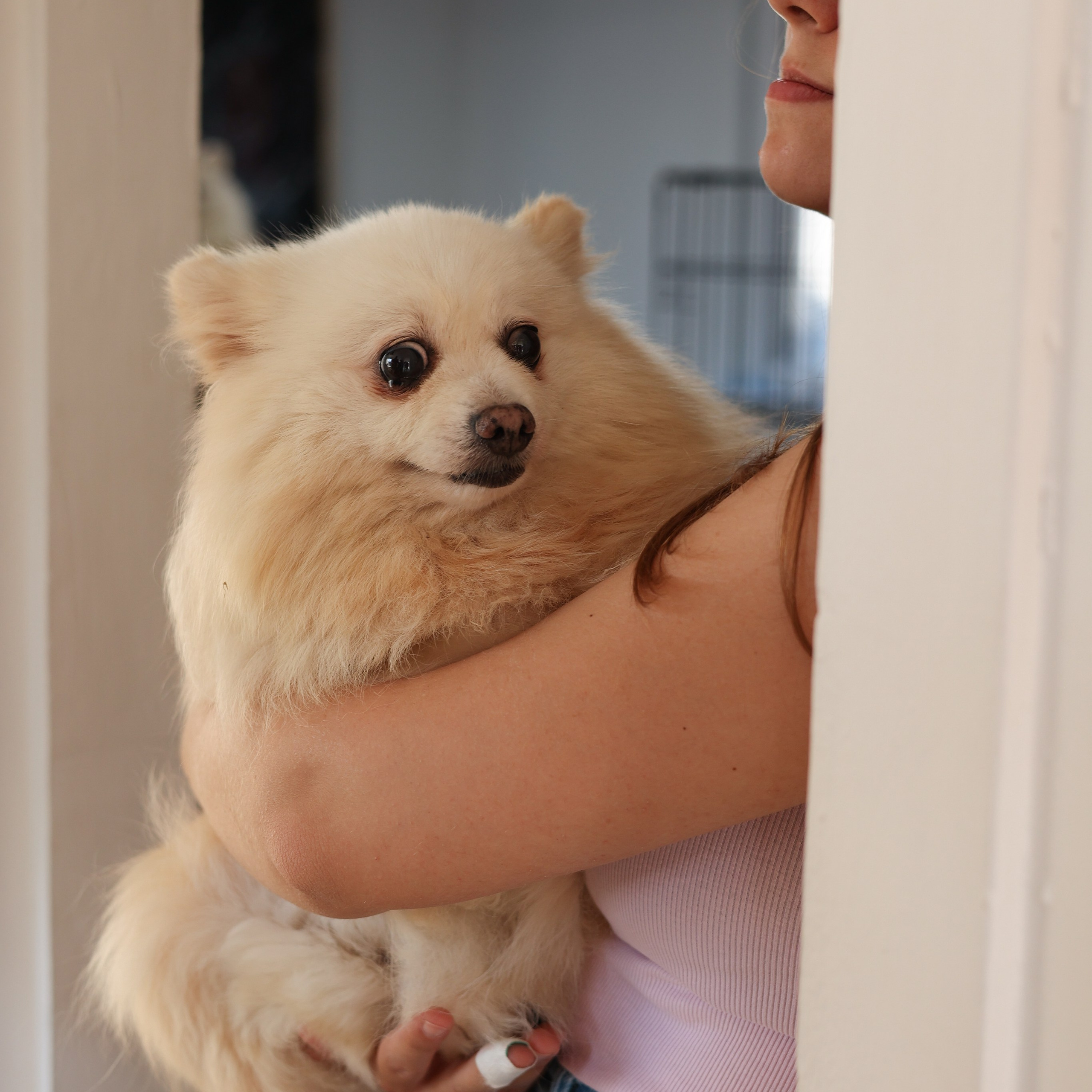 Апероль 1 годик. Фотограф Санкт-Петербург