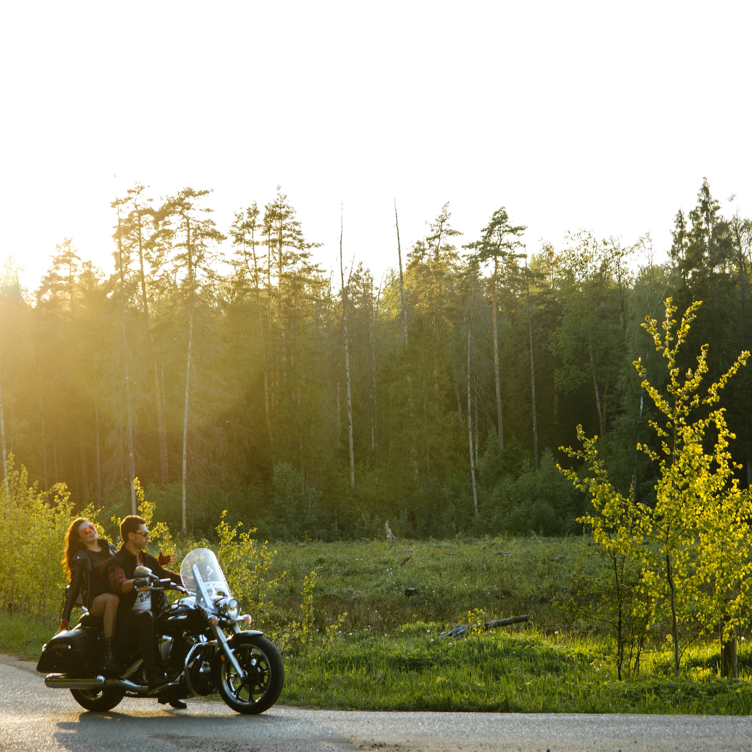 Владимир и Ангелина