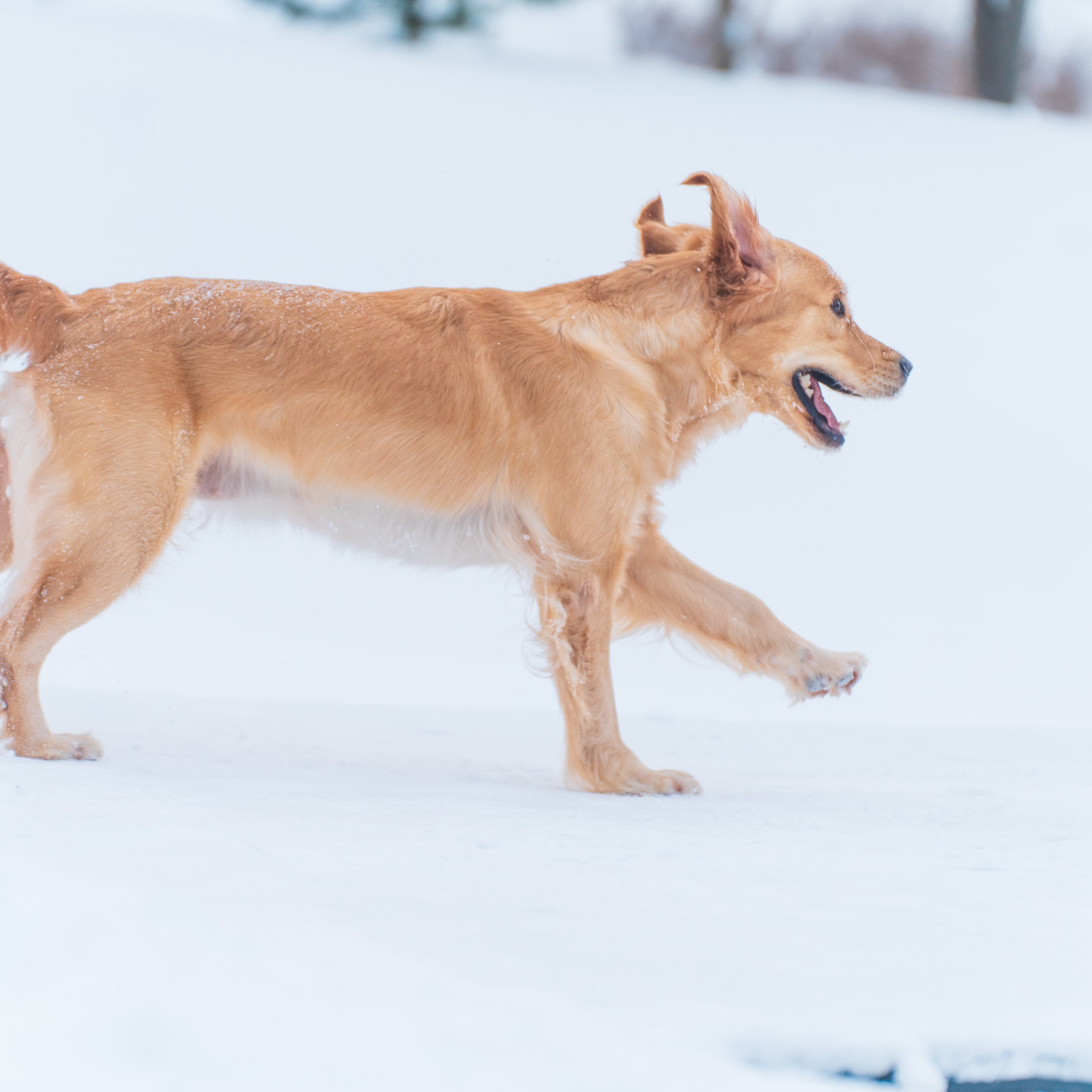 Отзывы. Фотограф в Москве Ленарская Дарья