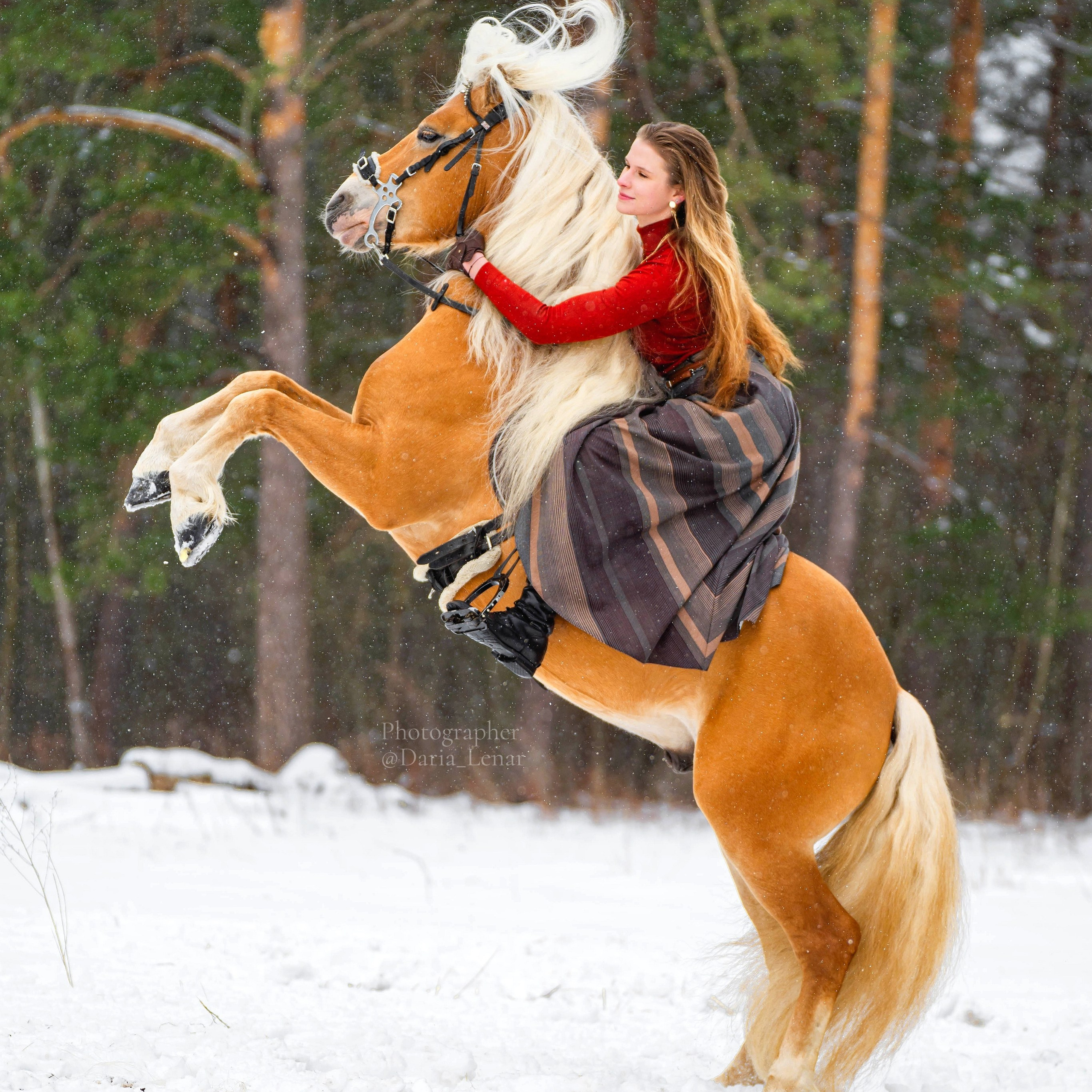 Вероника и Адонис