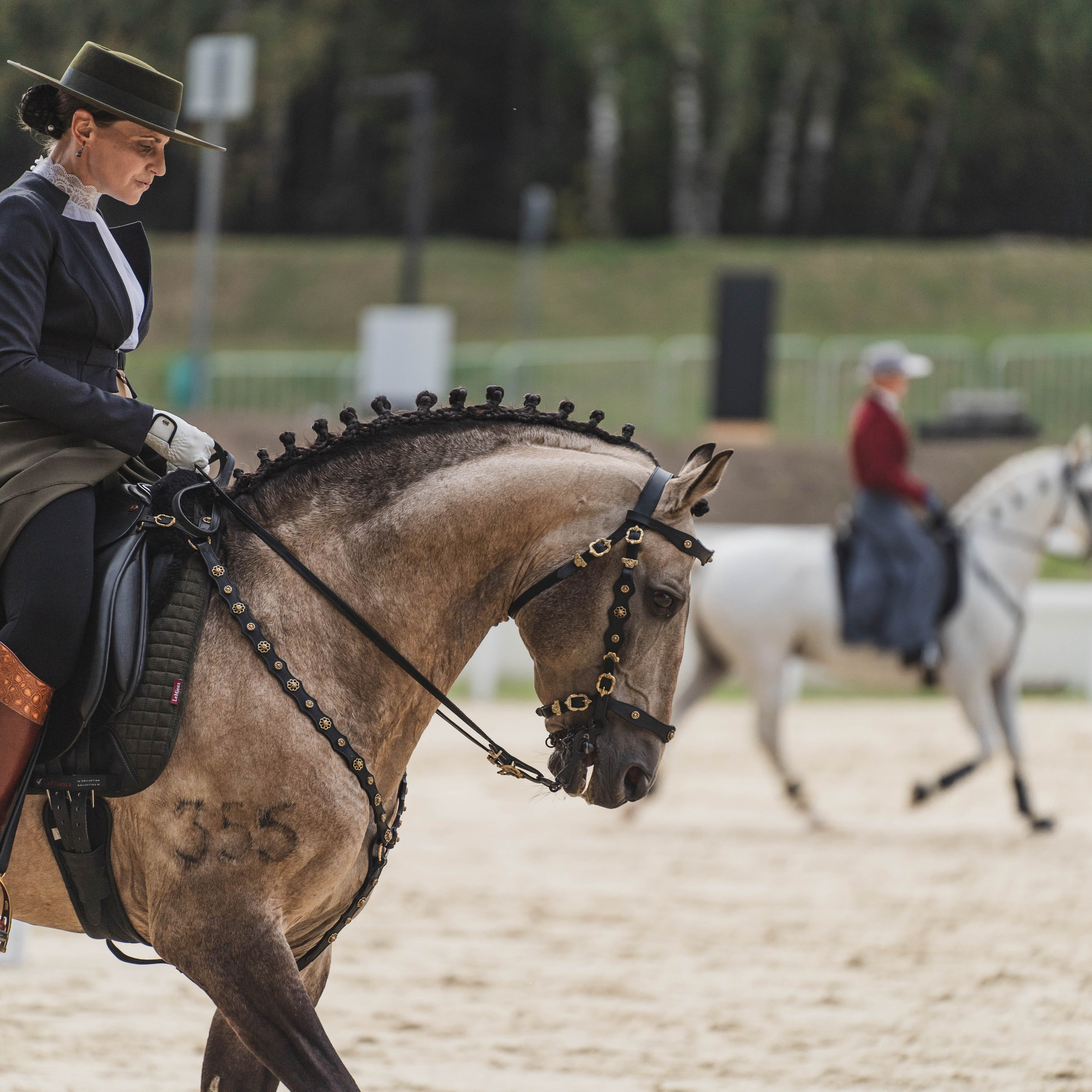 Мастер-класс по рабочей выездке