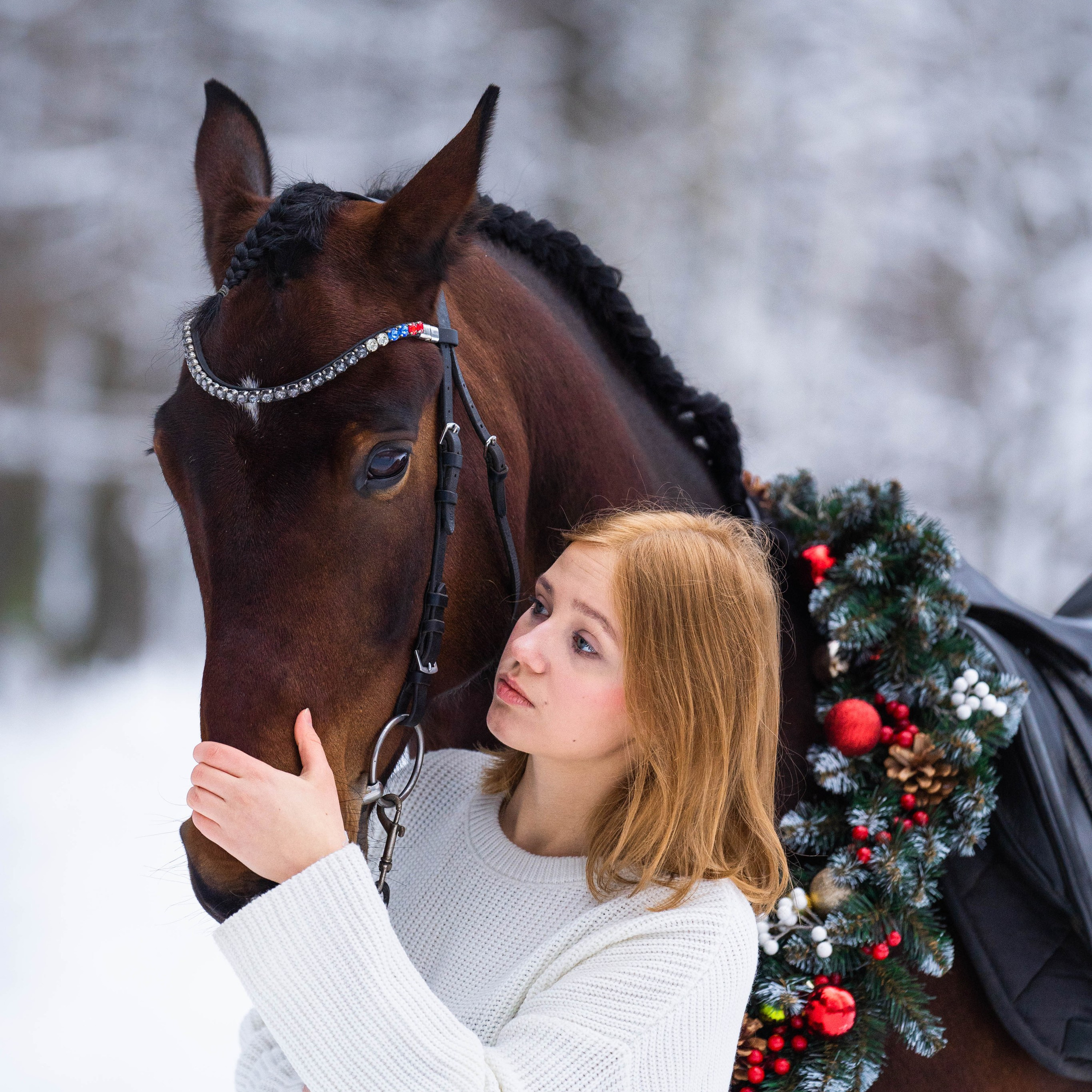 Лиза и Аристократ