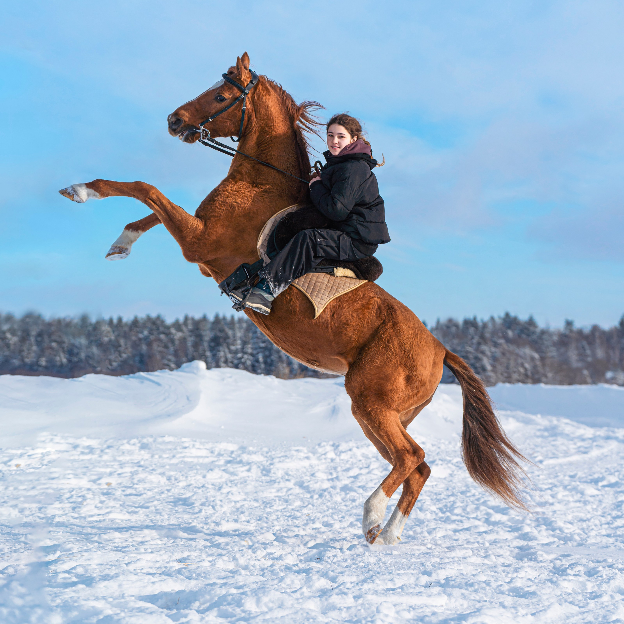 Настя и Листик