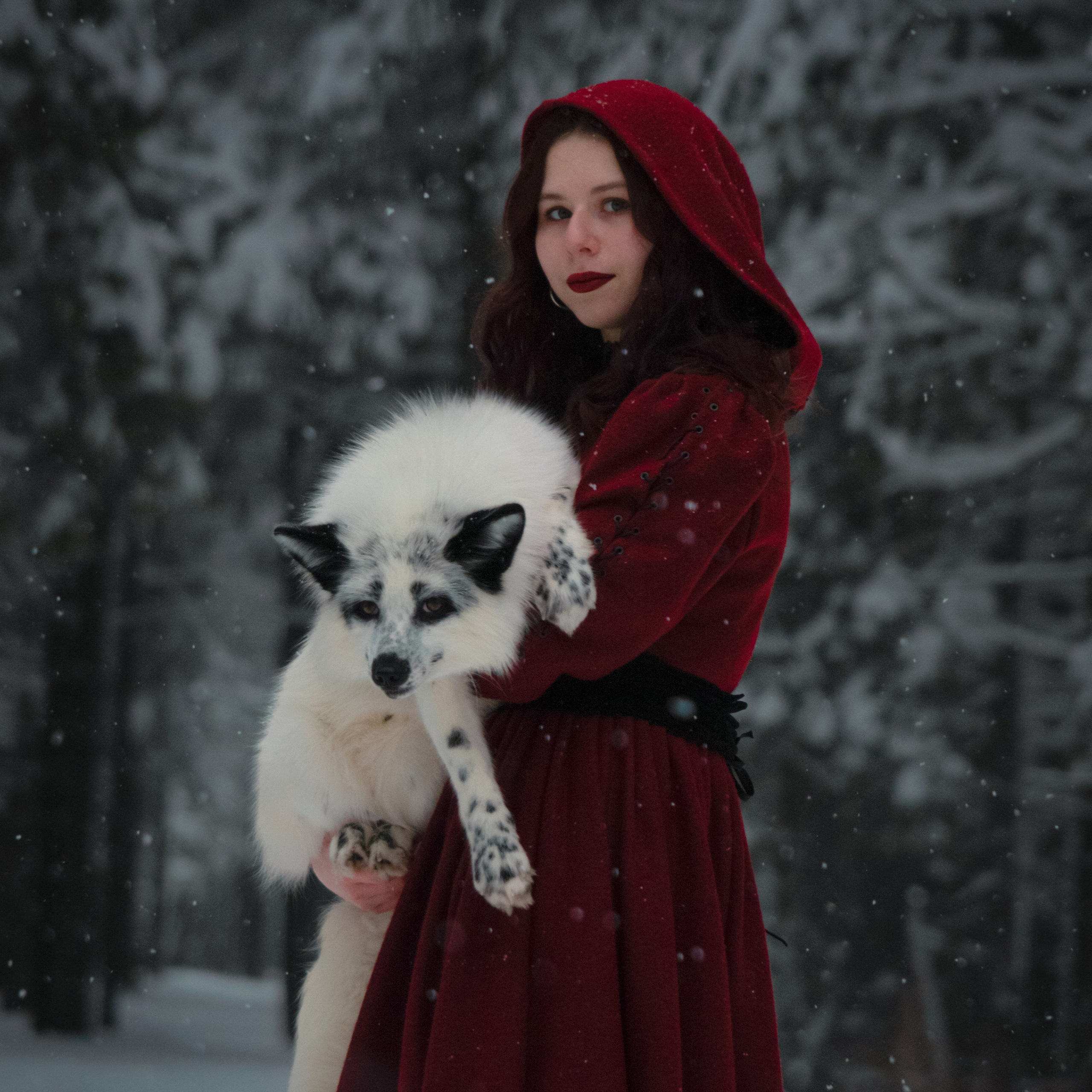 Лис Оскар и Яна