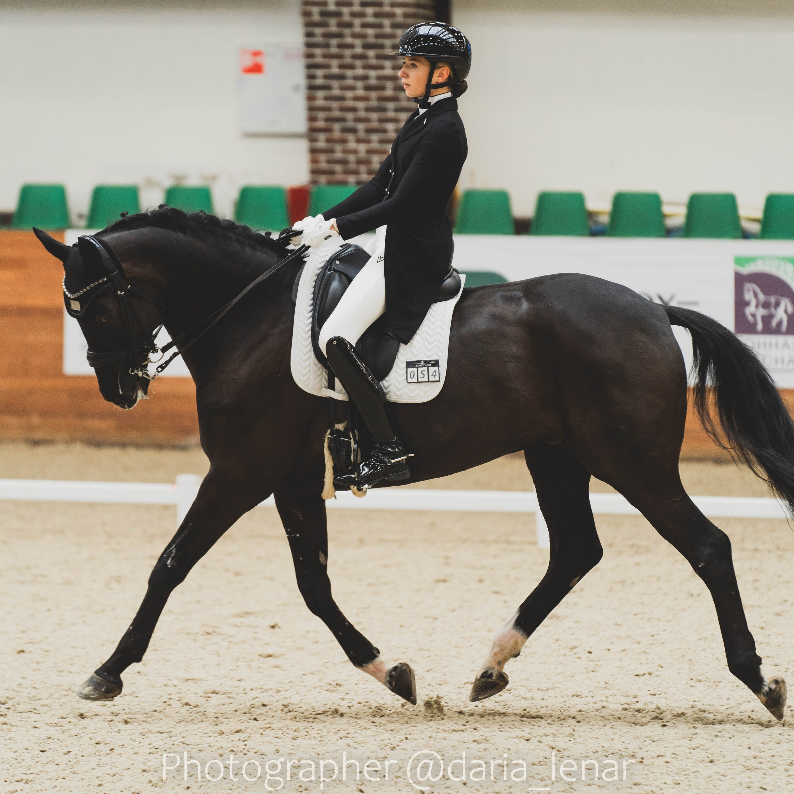 Выездка. Maxima Park