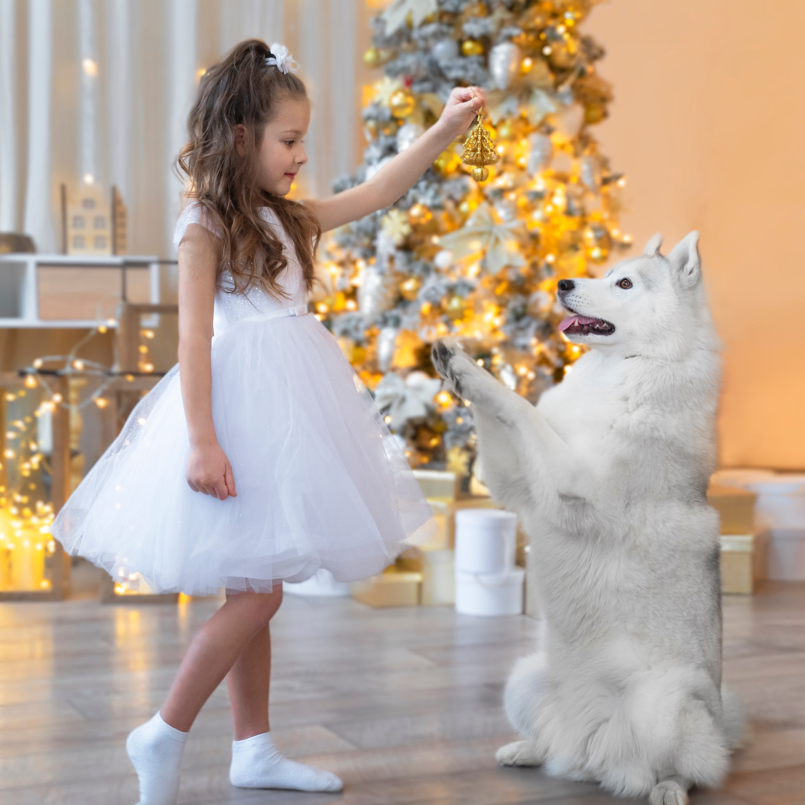 Детки и хаски