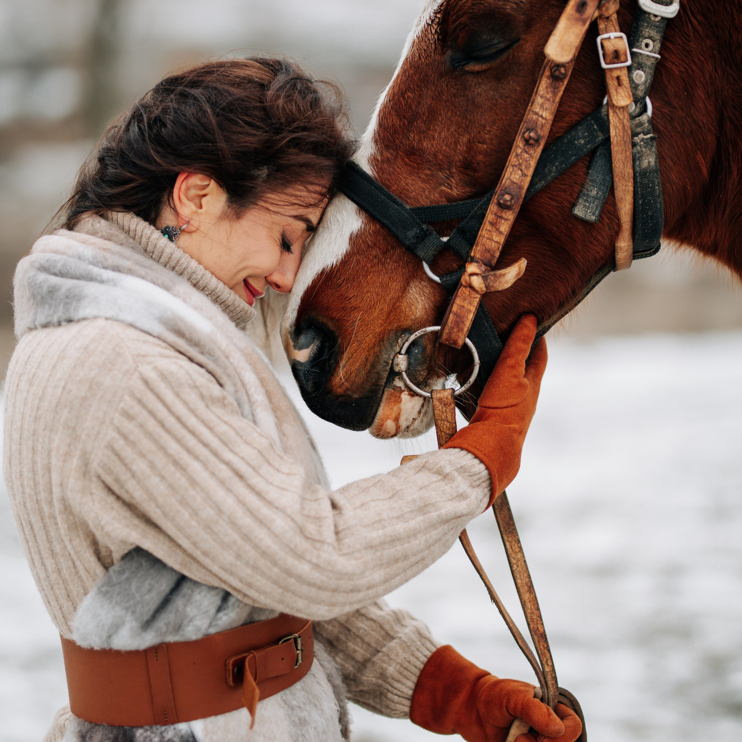 Зенифе. Фотосессия с&nbsp;лошадьми