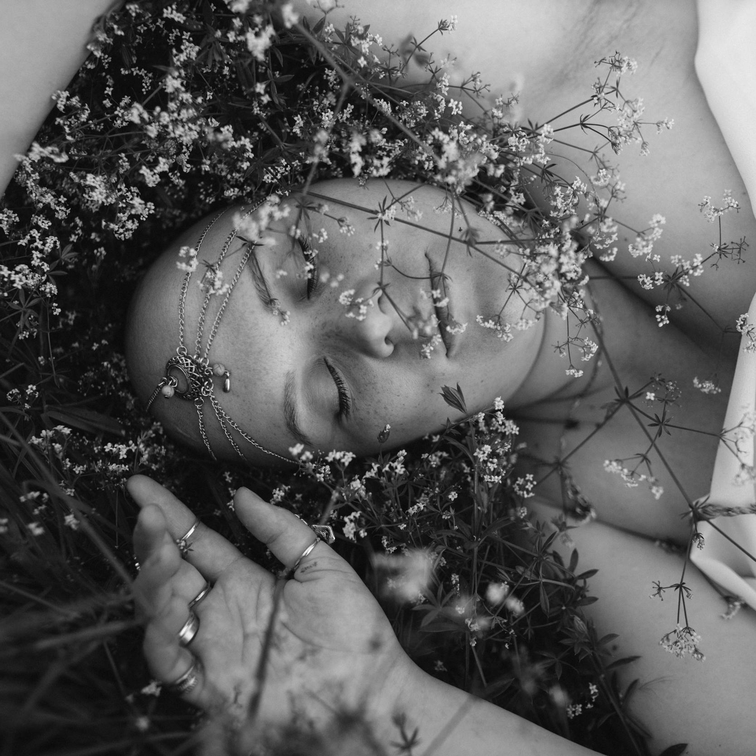 Самый долгожданный цветок