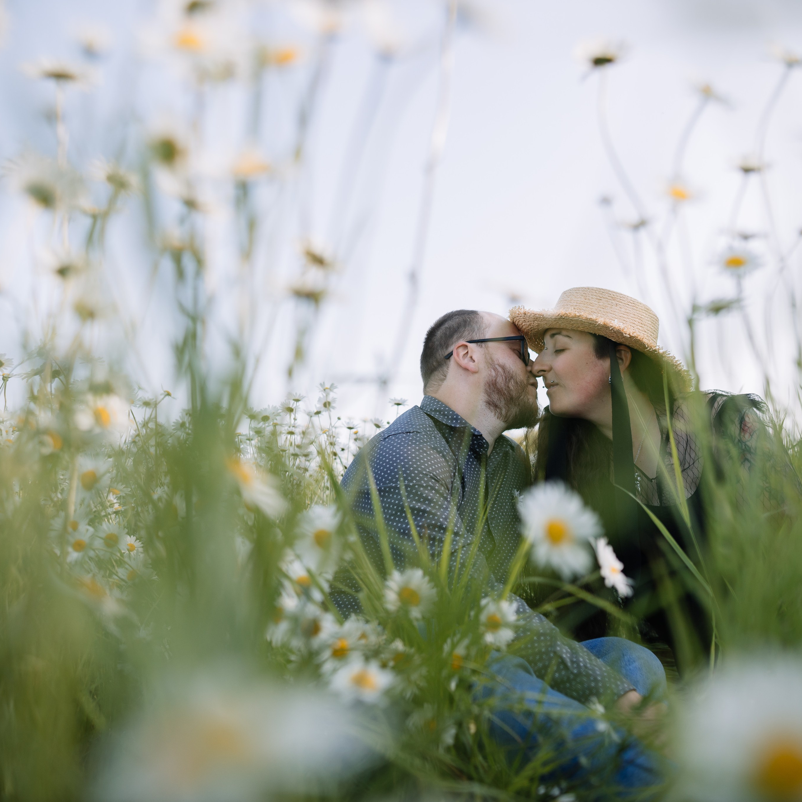 Ромашковое настроение