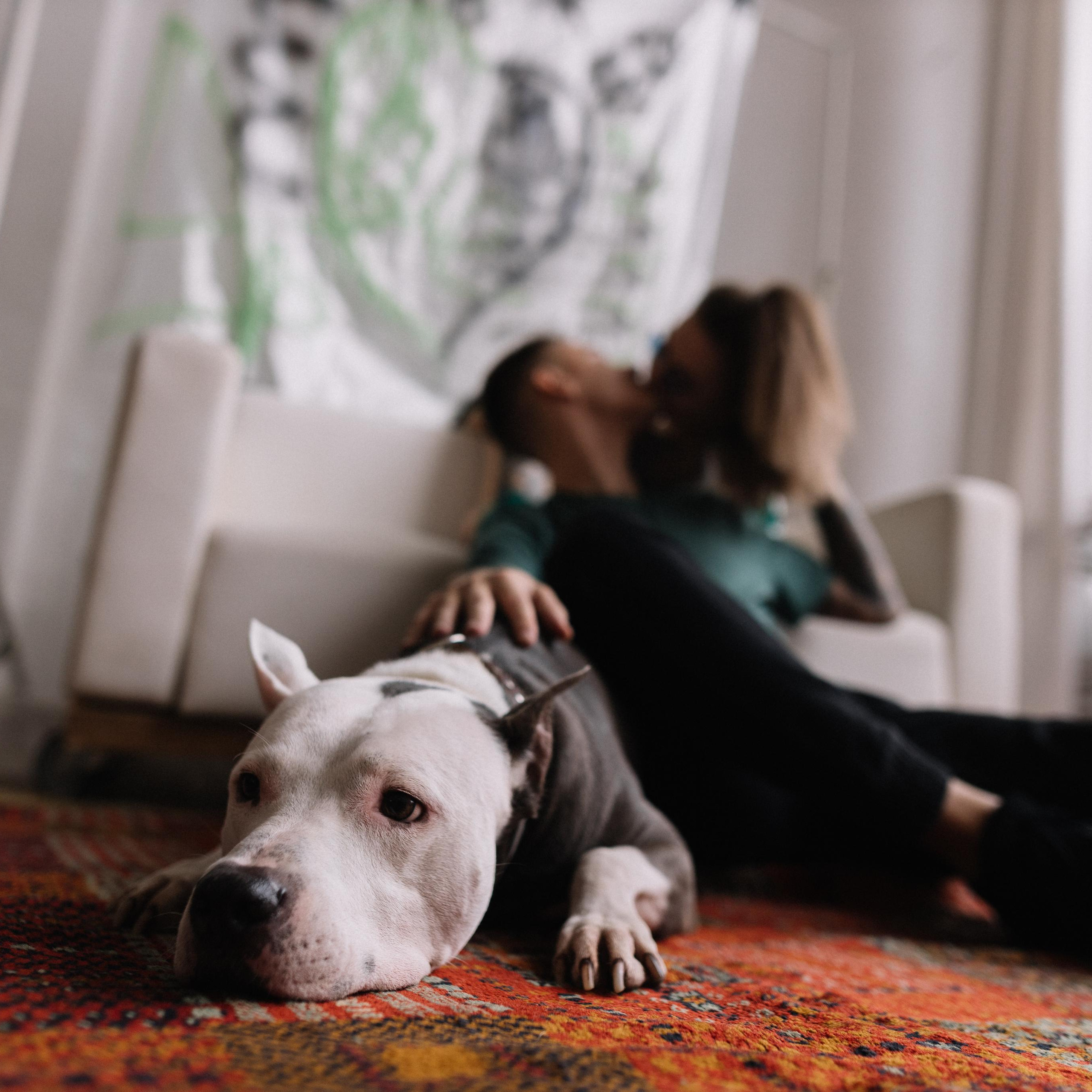 Главная. Кристина Киссер |Фотограф | сняла ⩾ 2000 съёмок | главная по атмосфере