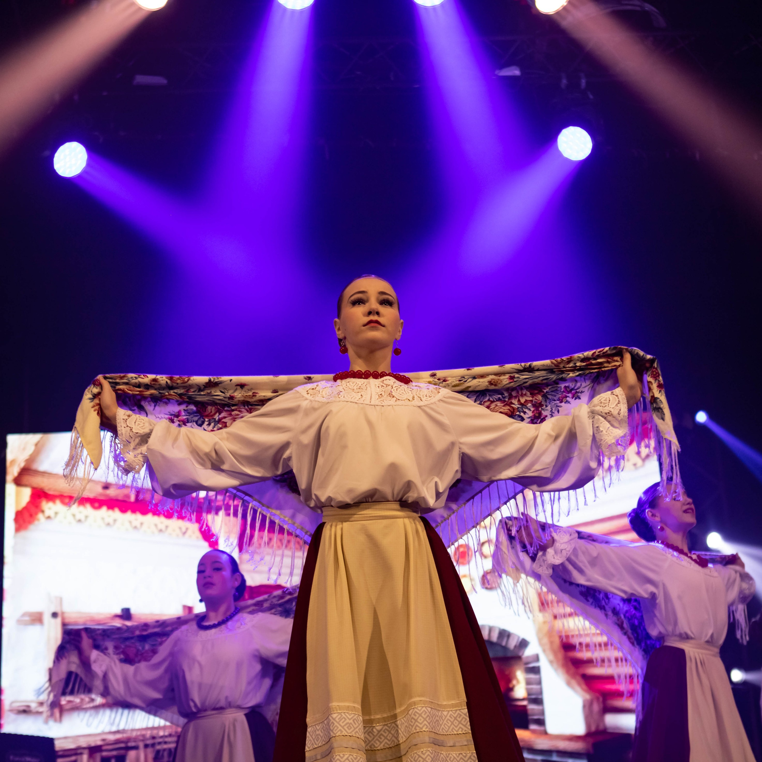 Корпоративы, официальные мероприятия, концерты