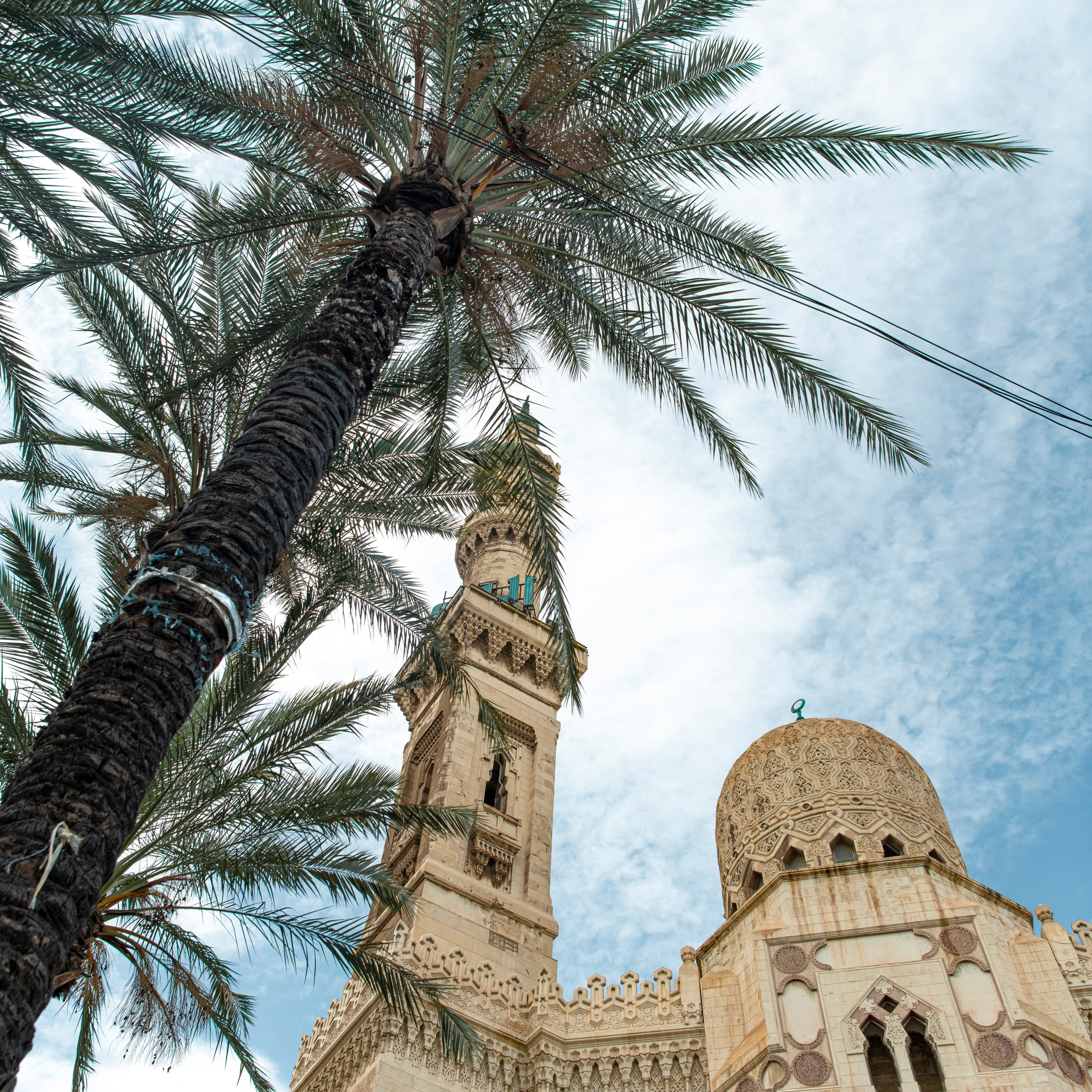 MYSYR |EGYPT |ЕГИПЕТ. OSPAN ALI photographer