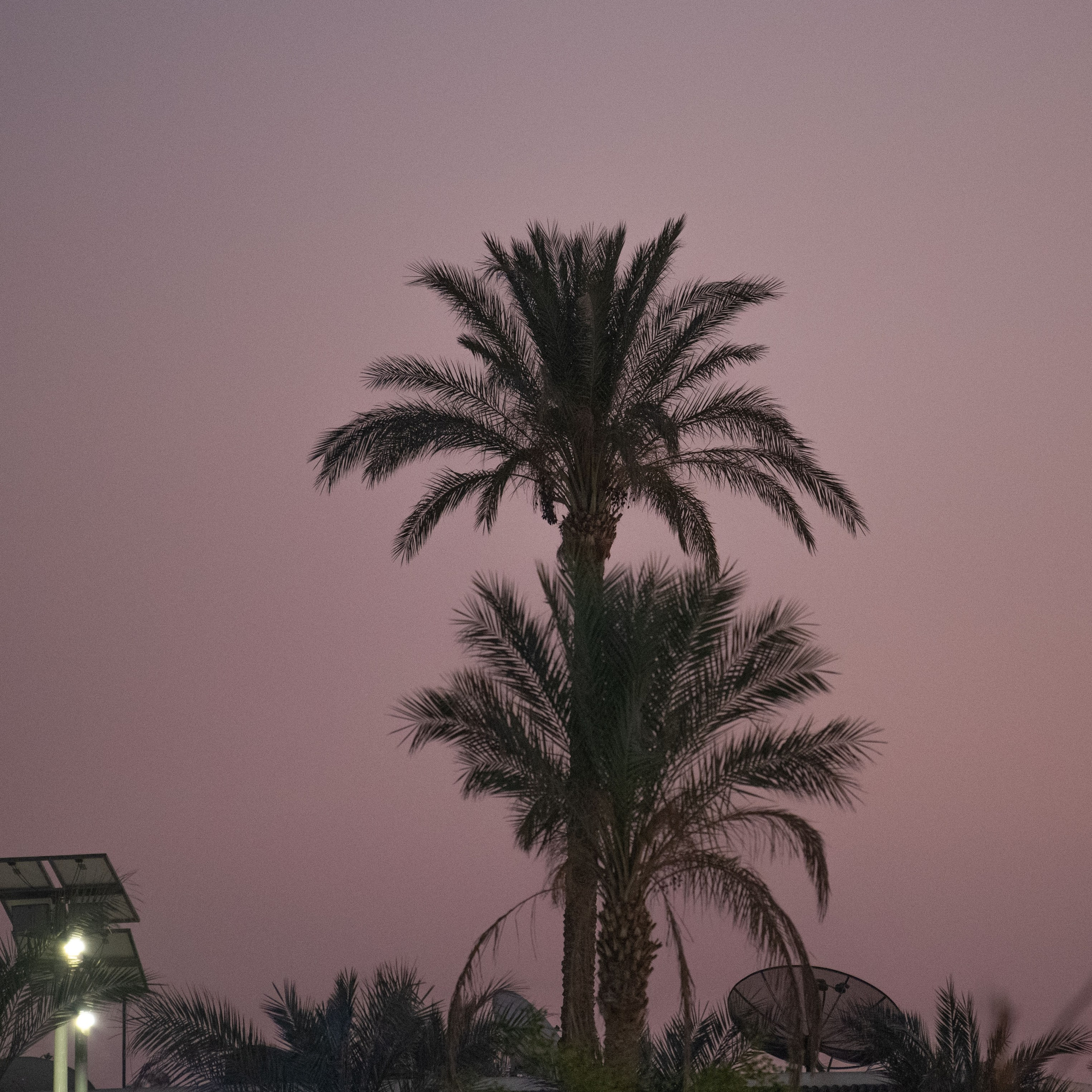 MYSYR |EGYPT |ЕГИПЕТ. OSPAN ALI photographer