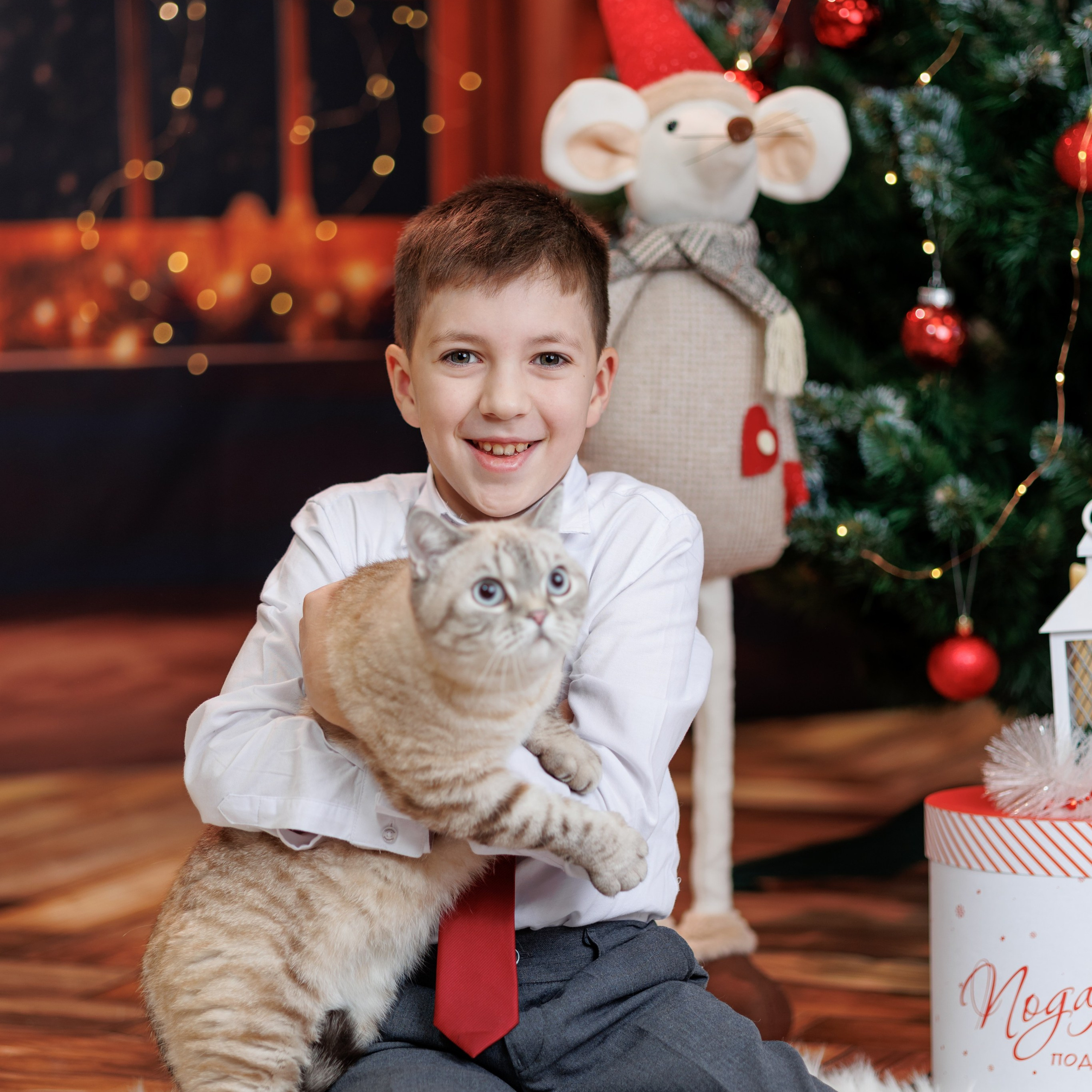 Отзывы. Школьный фотограф Саратов Золотарь Ольга