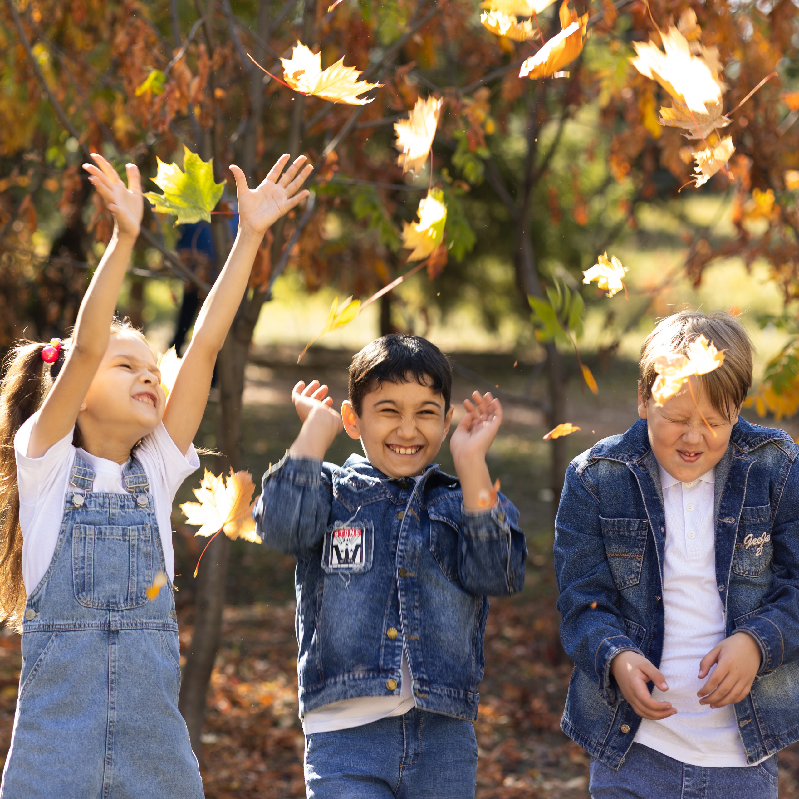 Варианты дизайна для 1-4 классов. Школьный фотограф Саратов Золотарь Ольга