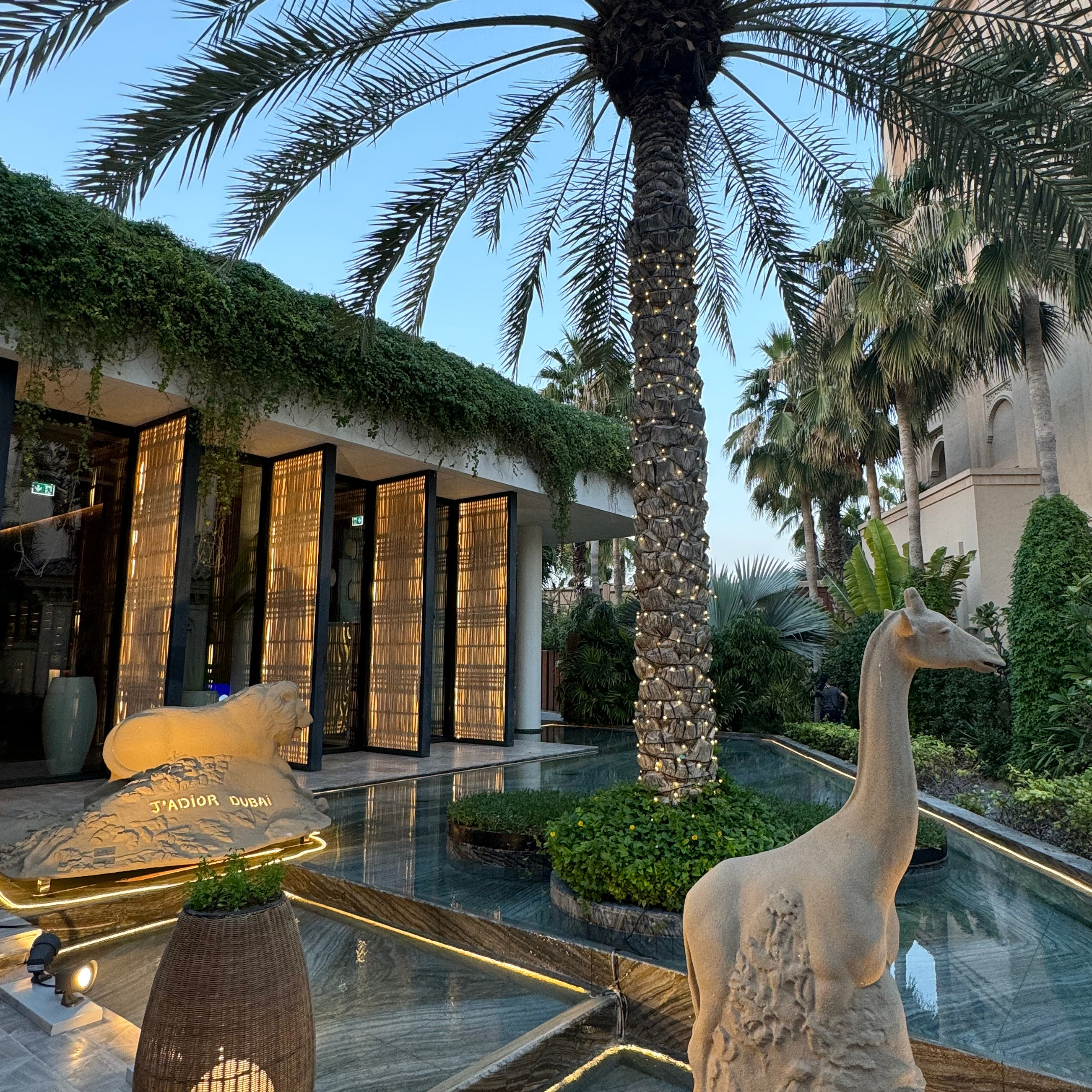 Отзывы. Фотограф Анна Касьянова