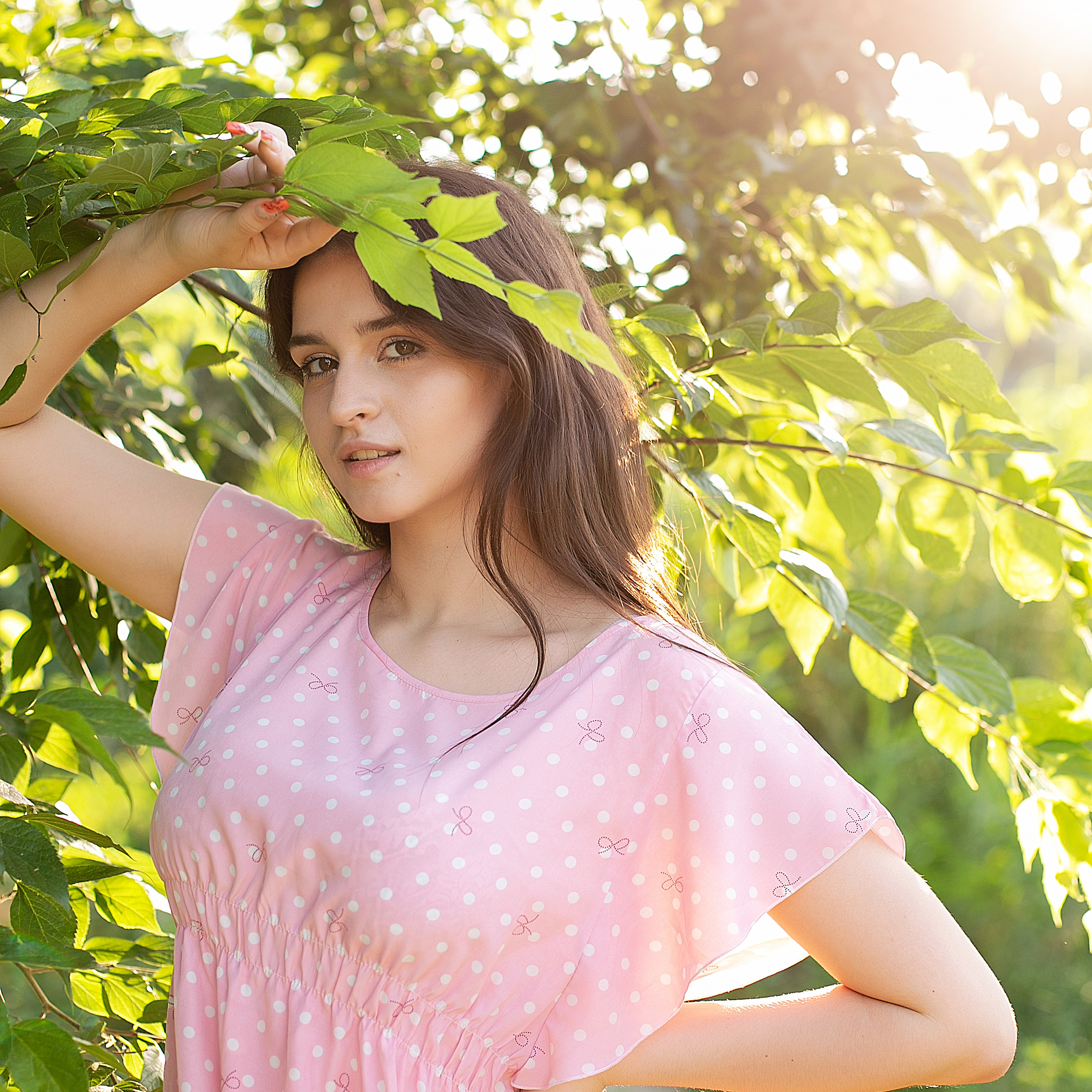 солнечный день