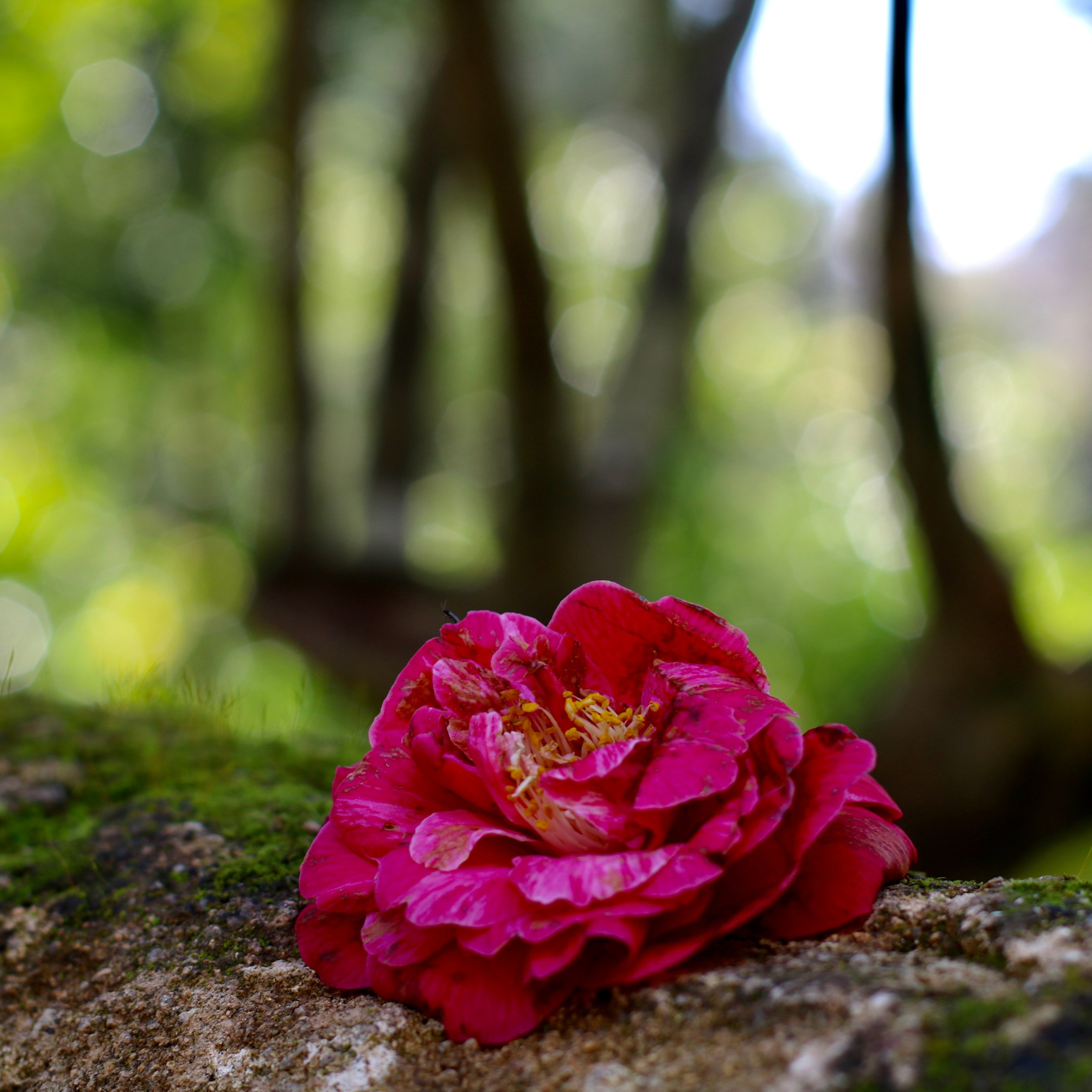 Our News. UNUSUAL TALENT magazine