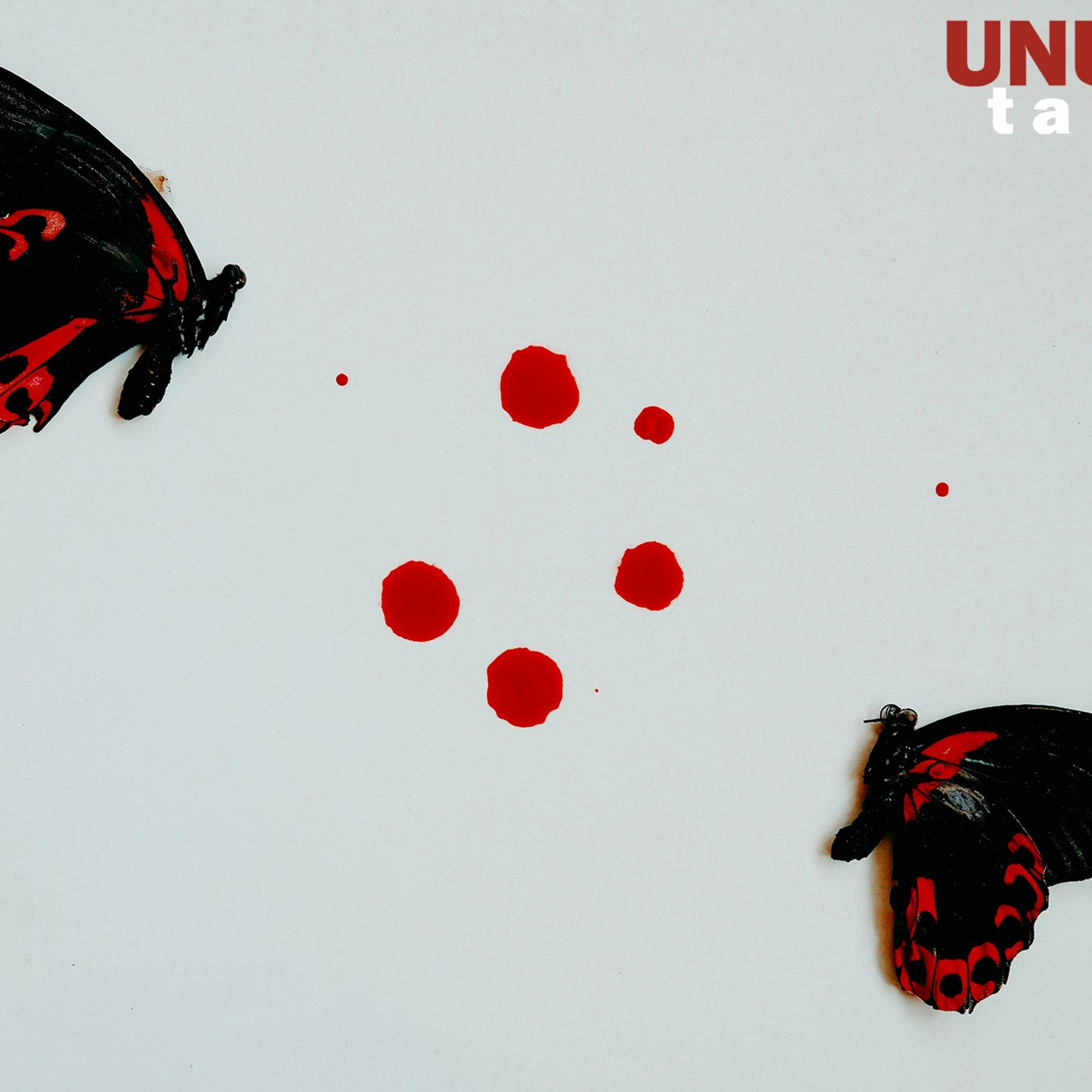 Portfolios of our talents. UNUSUAL TALENT magazine