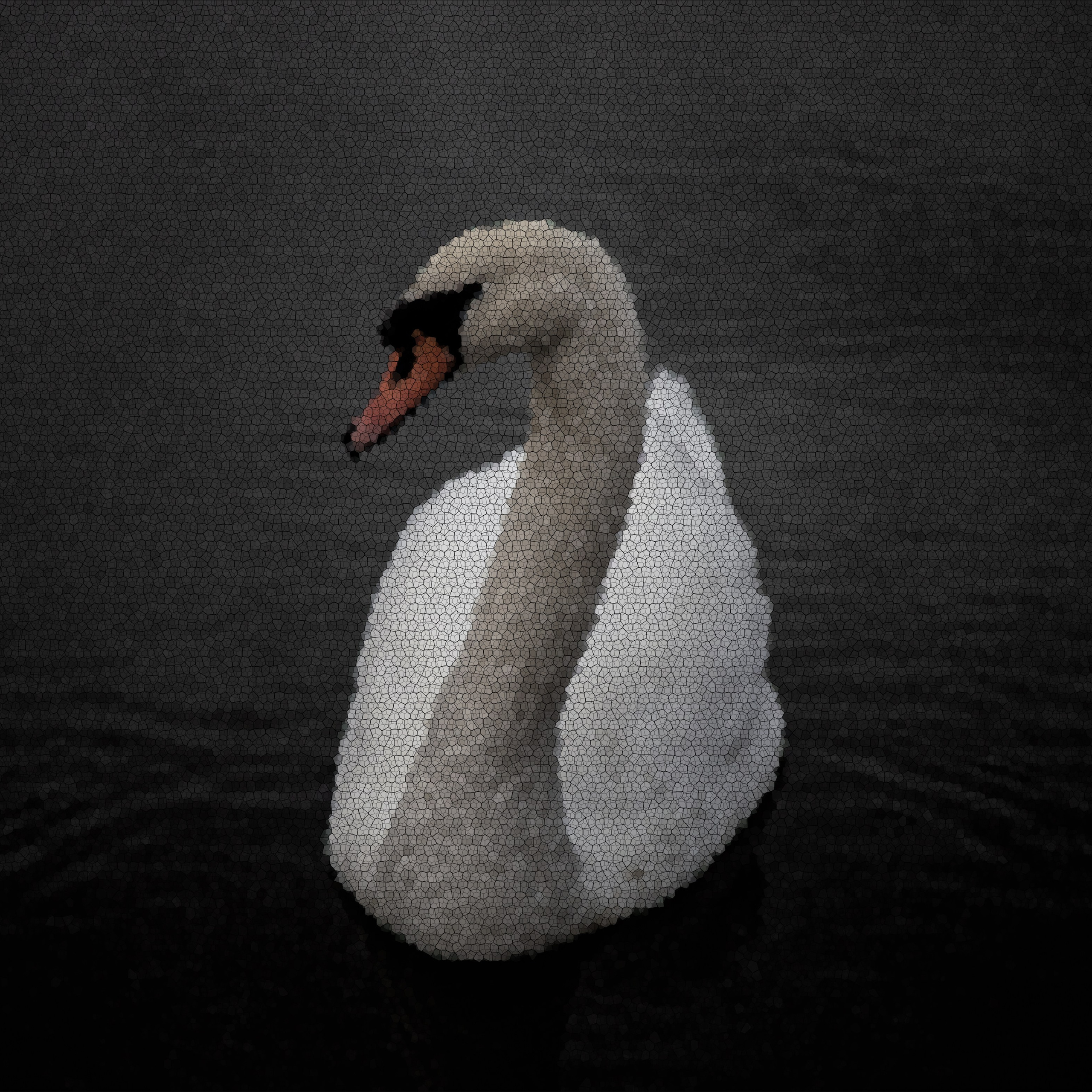 Best of the month. UNUSUAL TALENT magazine