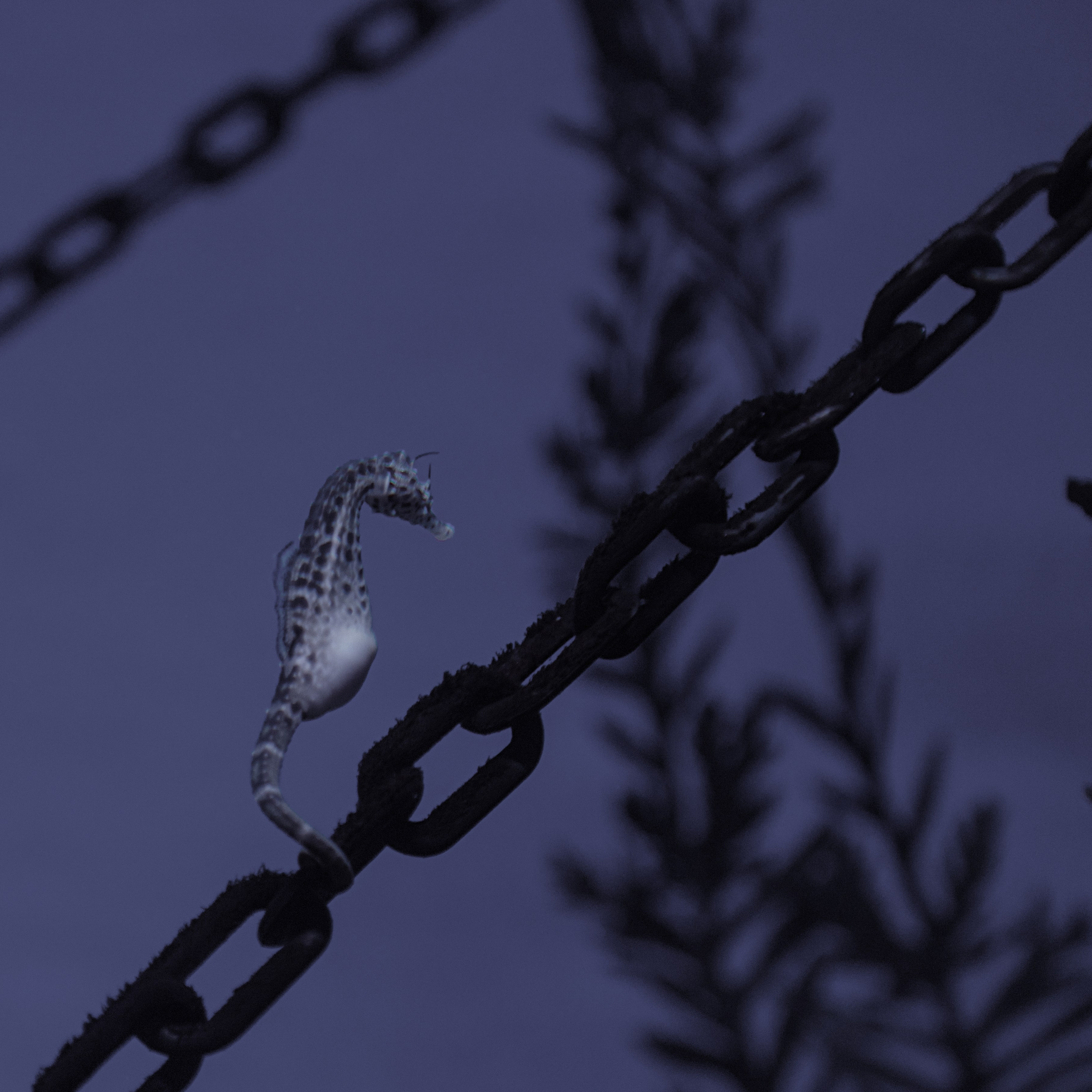 Best of the month. UNUSUAL TALENT magazine